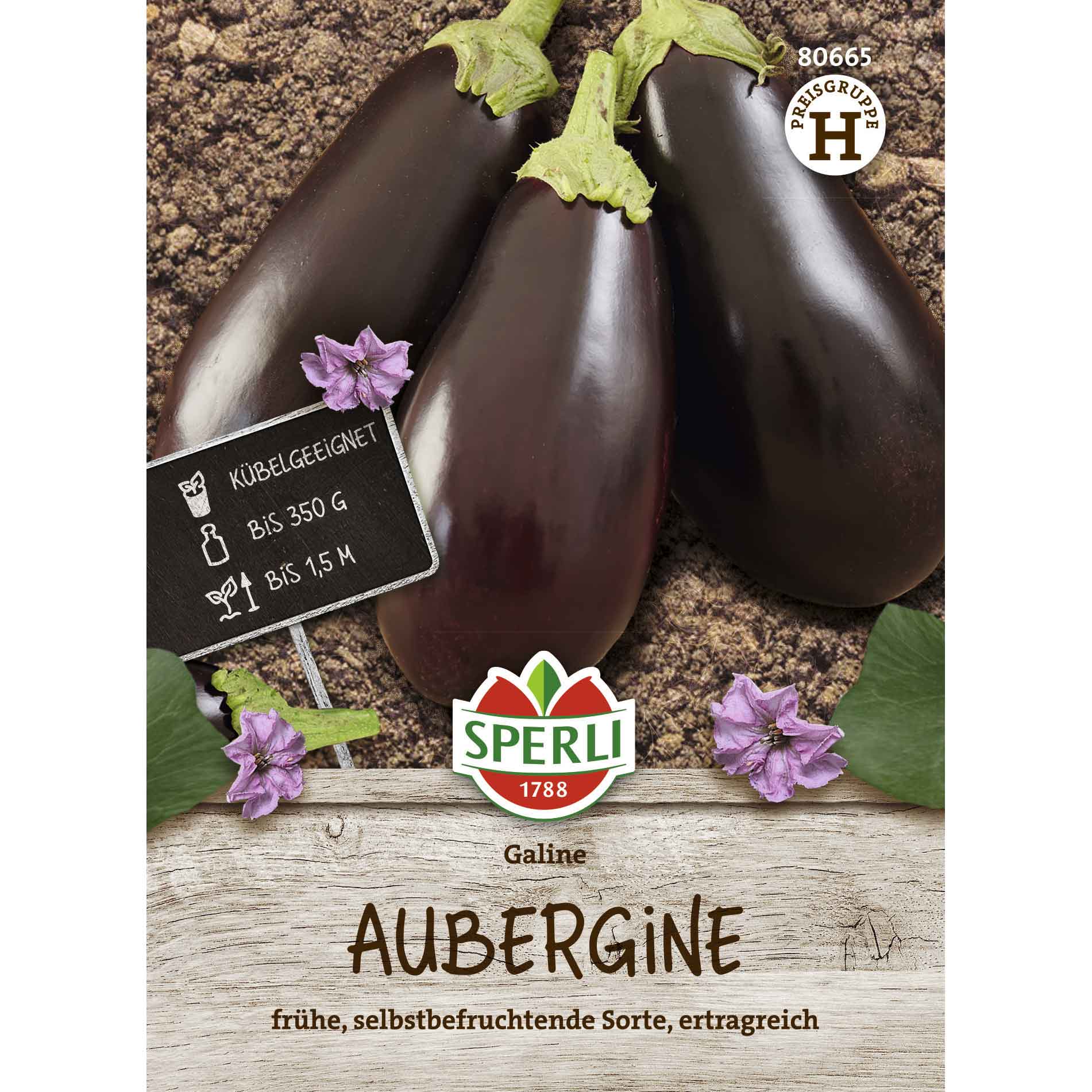 Aubergine Galine, F1