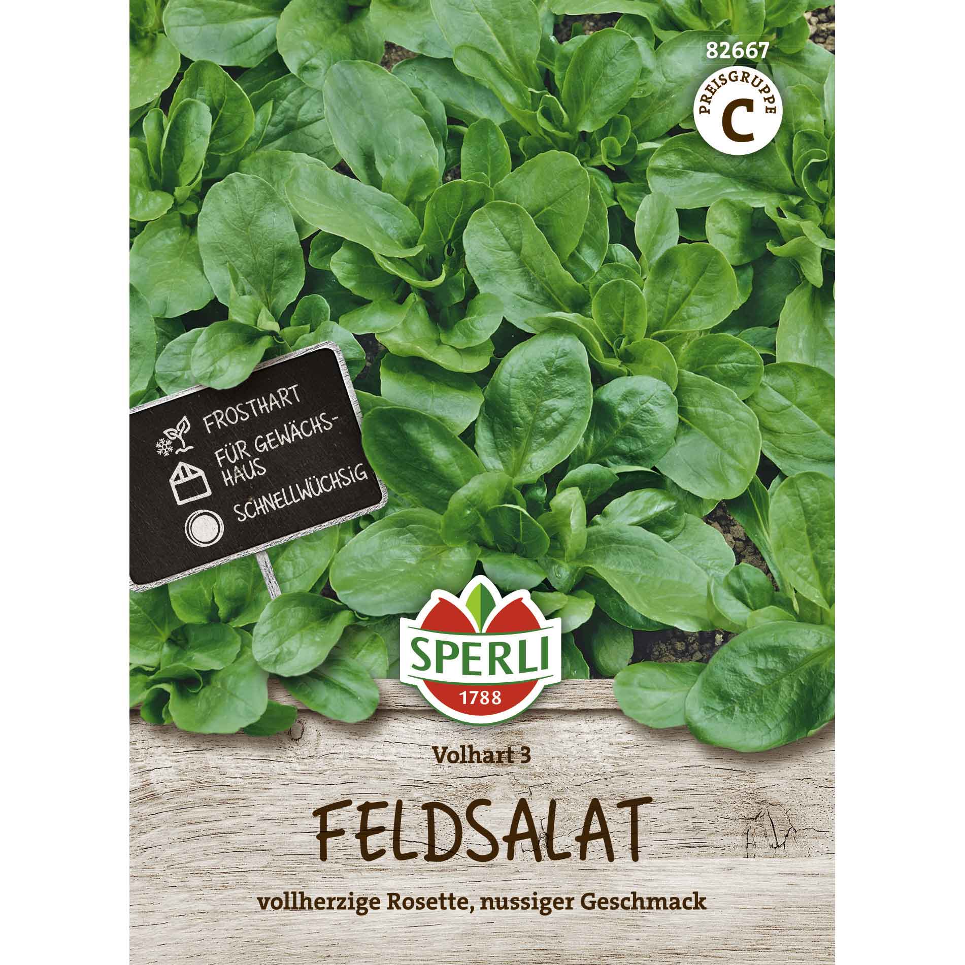 Feldsalat Volhart 3