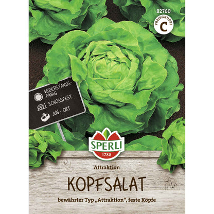 Kopfsalat Attraktion