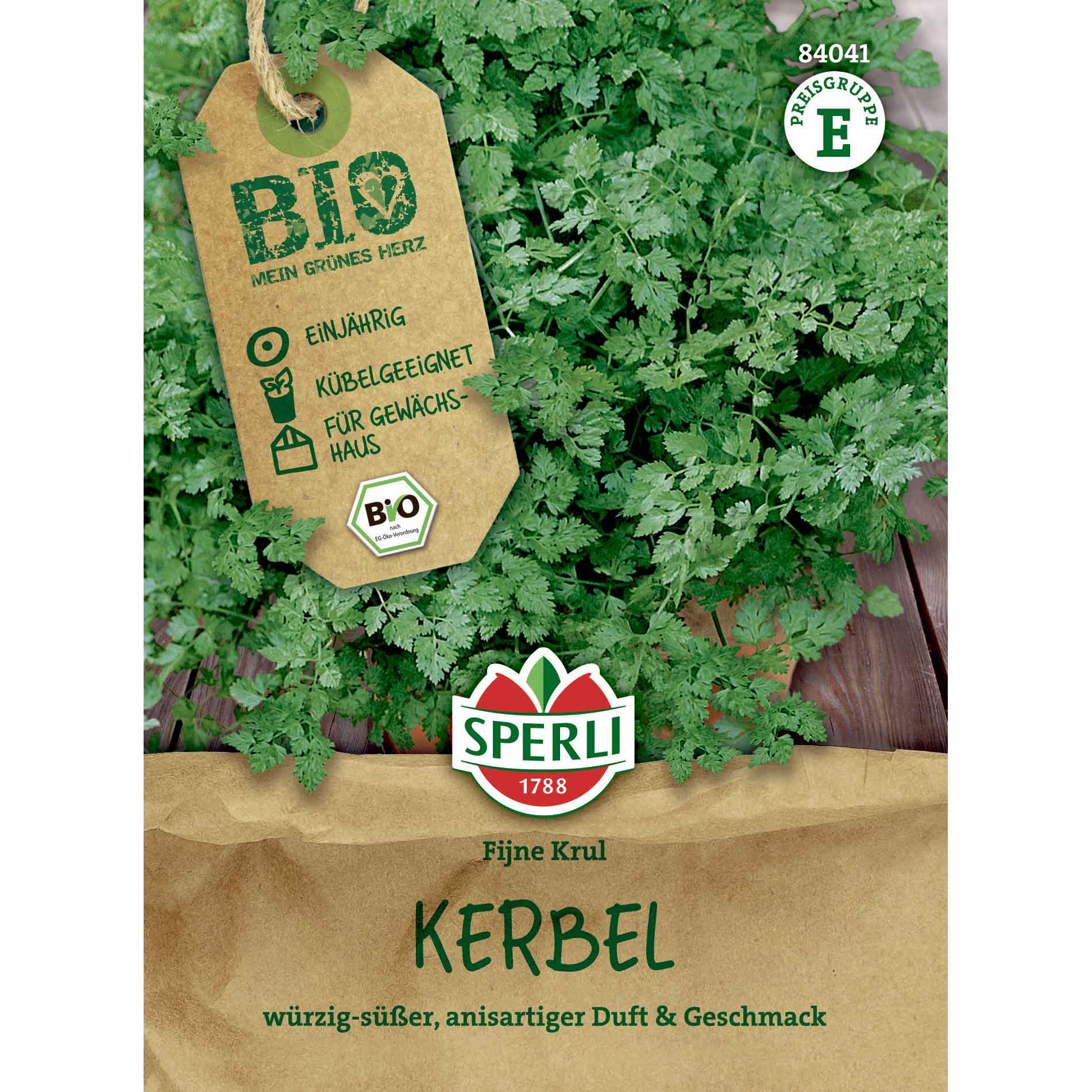 Chervil seeds - Organic - Kerbel