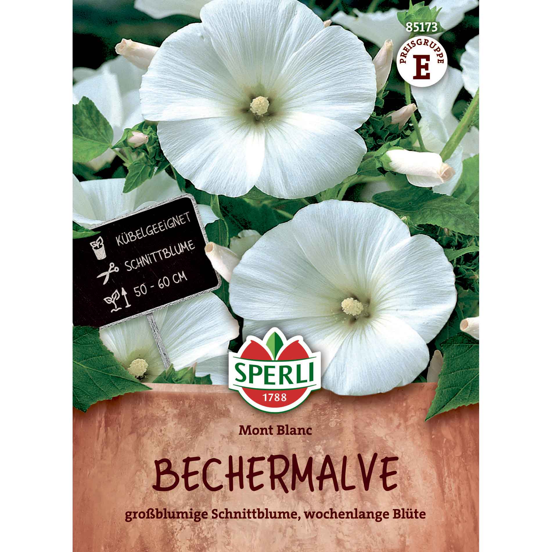 Cat cheese seeds - Mont Blanc - Sperli