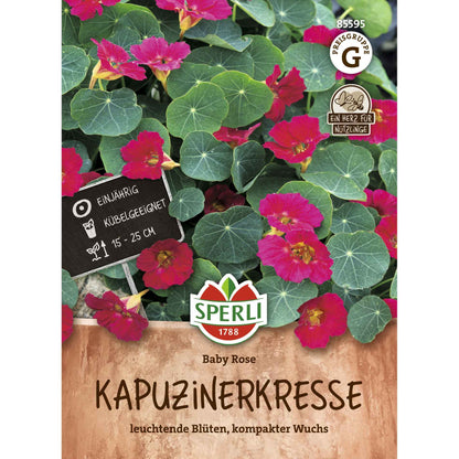 Kapuzinerkresse Baby Rose