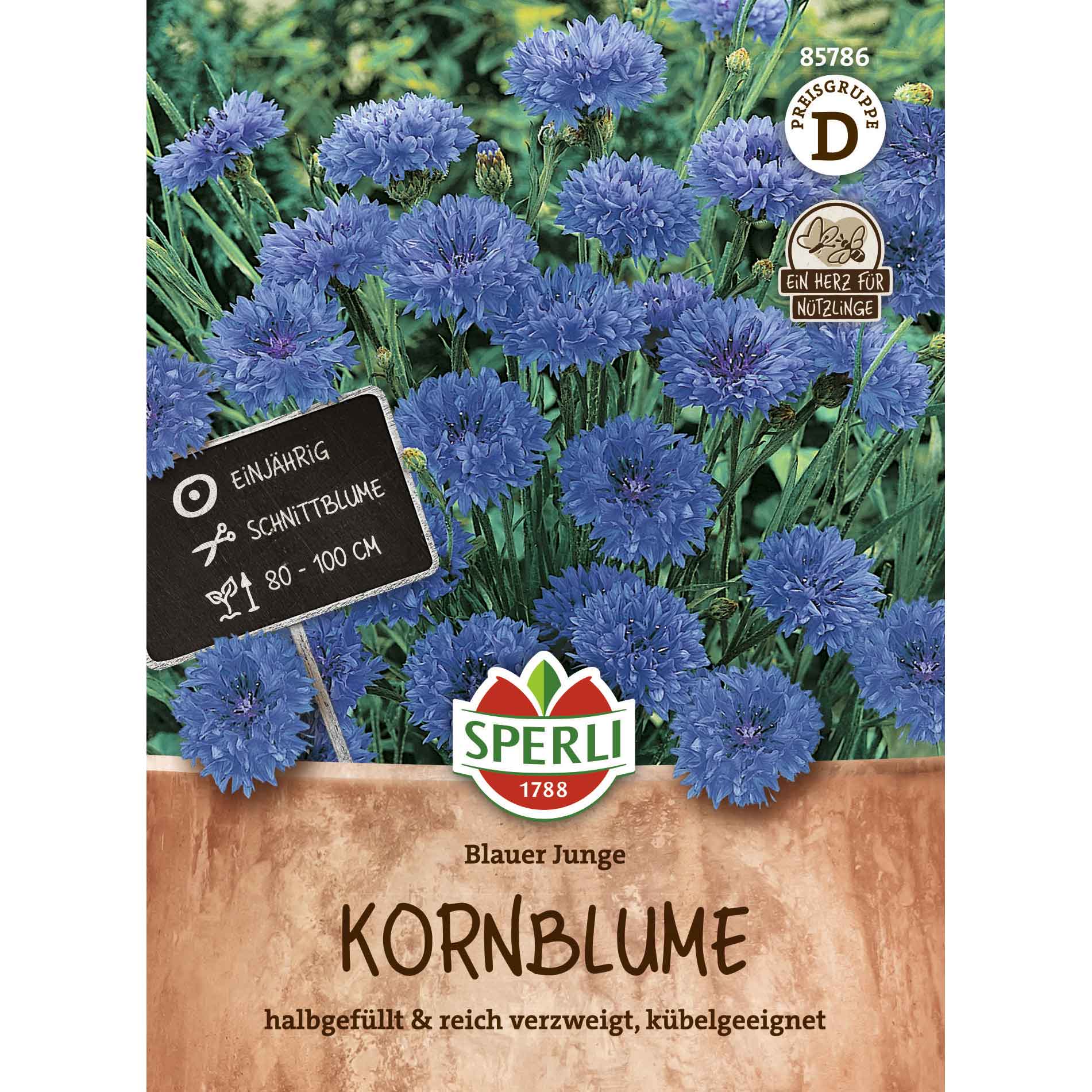 Kornblume Blauer Junge