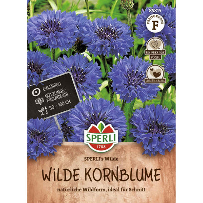 Wilde Kornblume SPERLI's Wilde