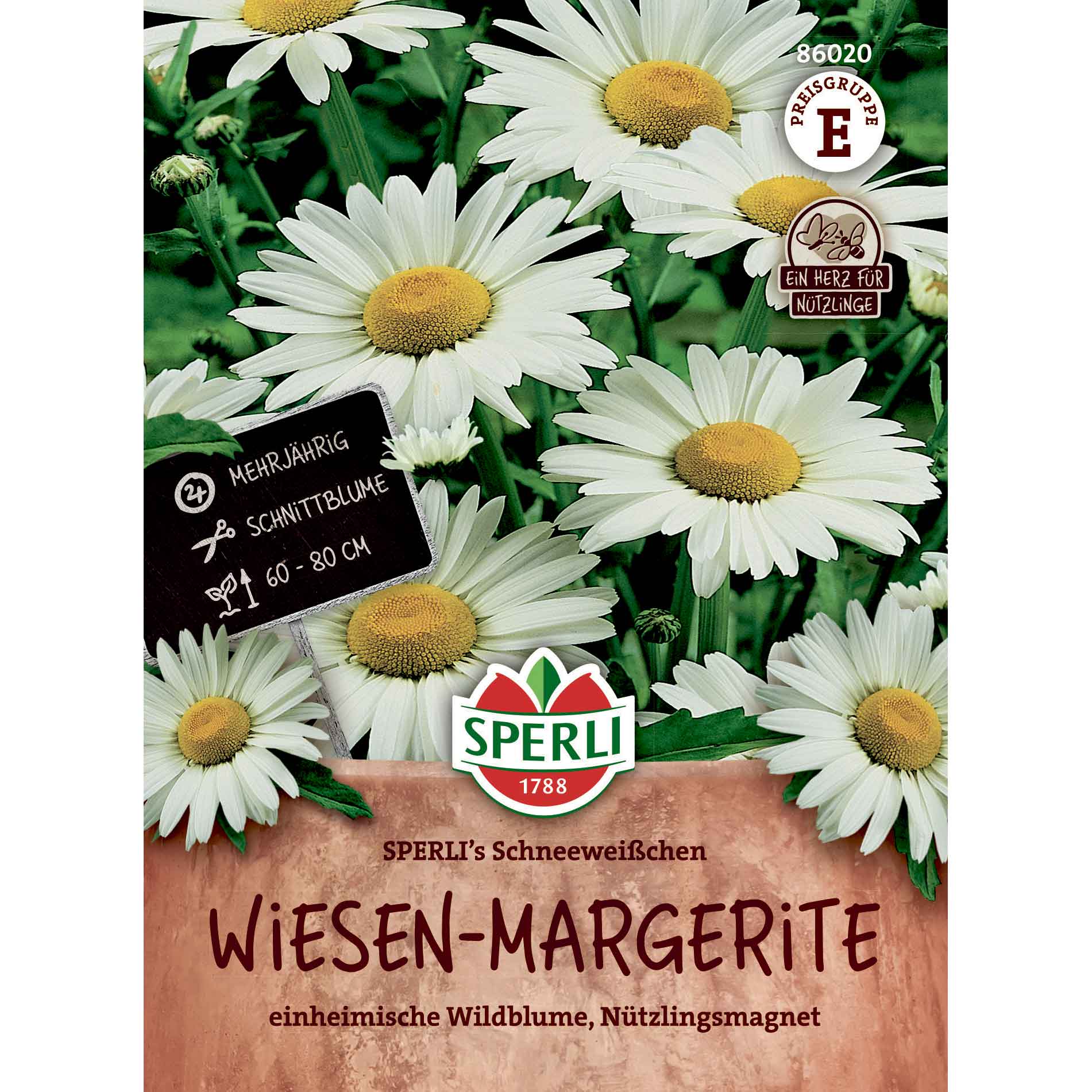 Marguerite - vild - SPERLI's Schneeweißchen