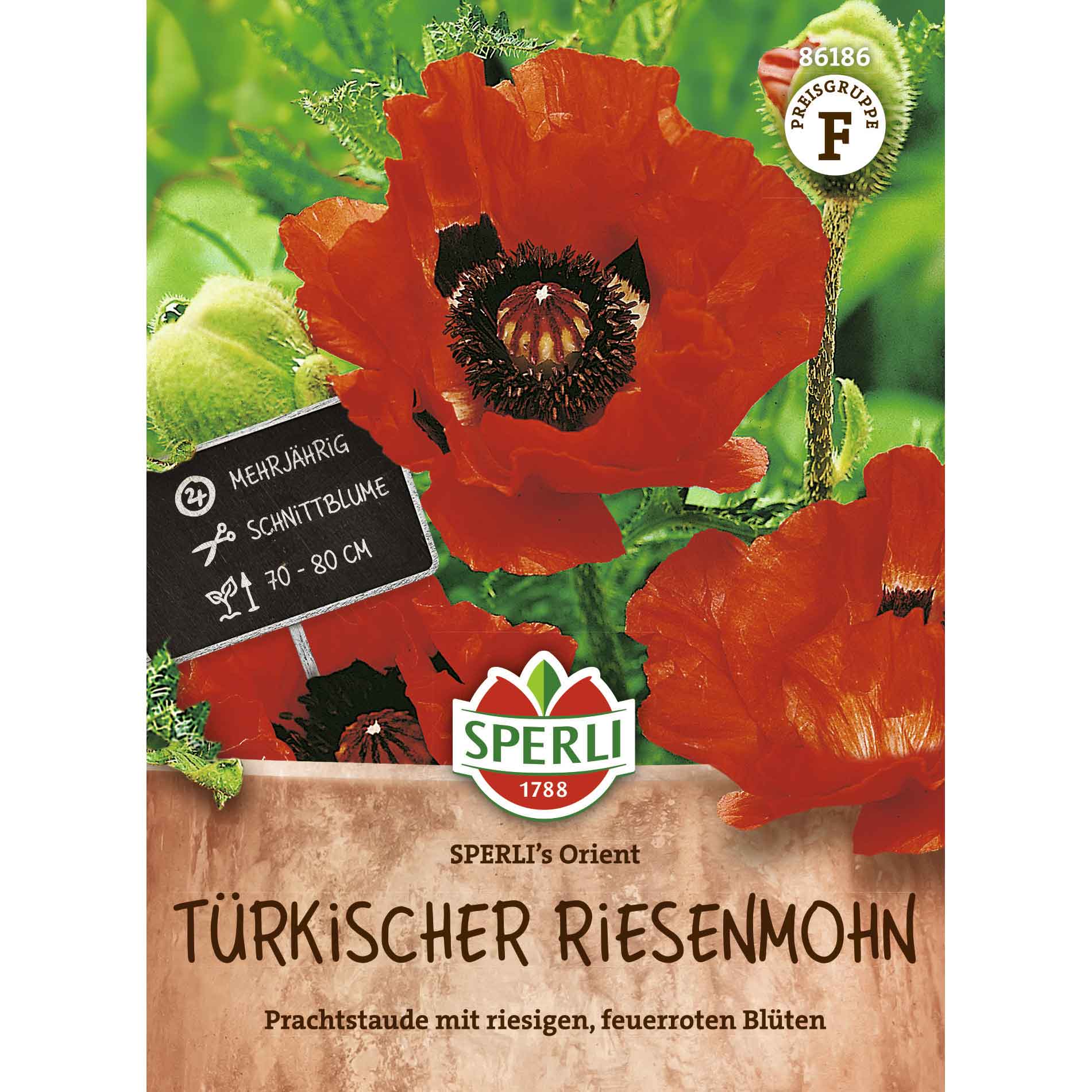 Türkischer Riesenmohn SPERLI's Orient