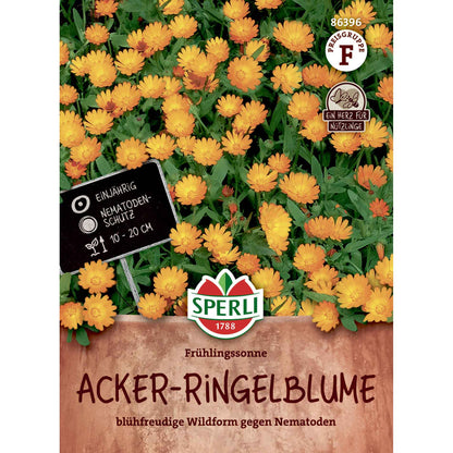 Acker-Ringelblume Frühlingssonne