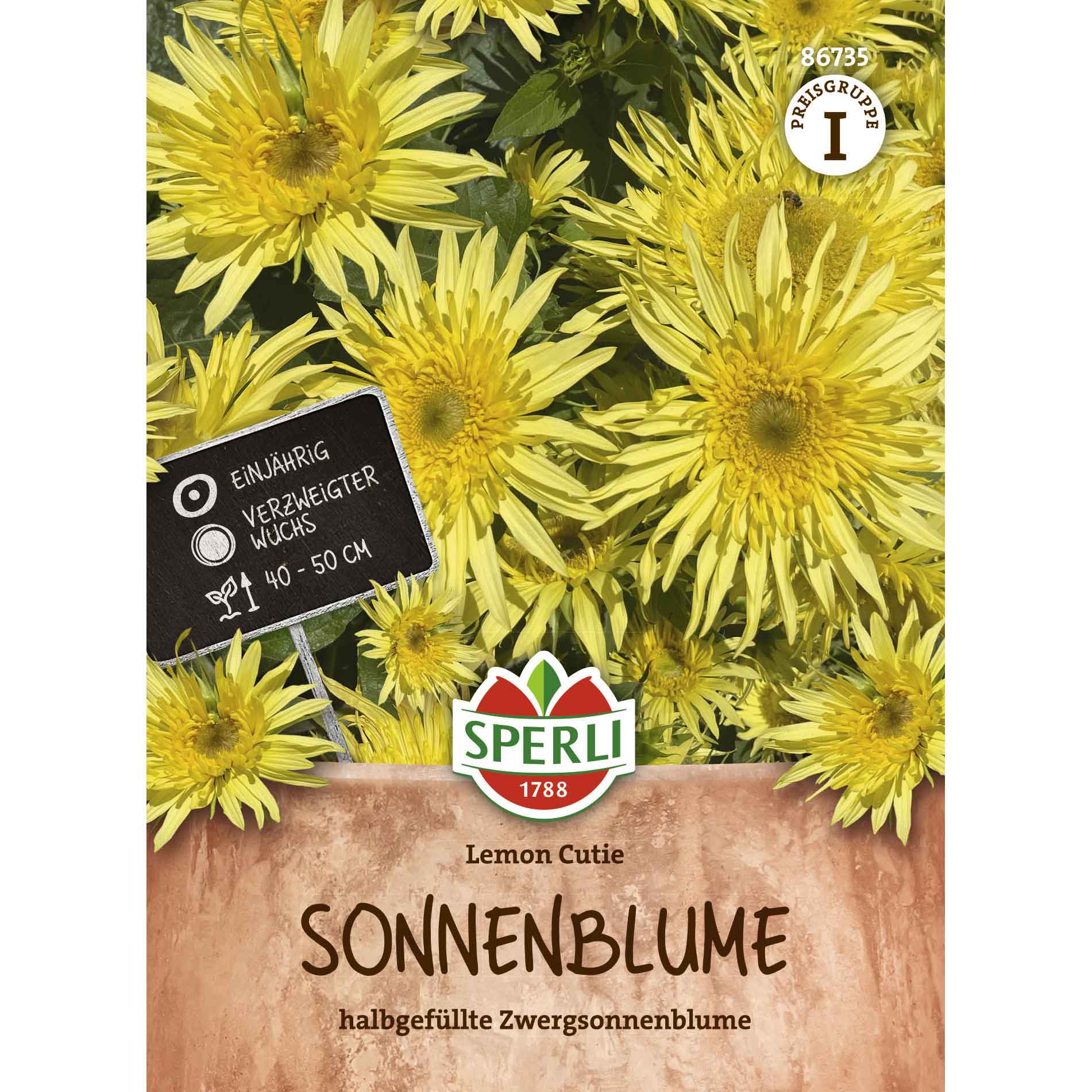 Sonnenblume Lemon Cutie