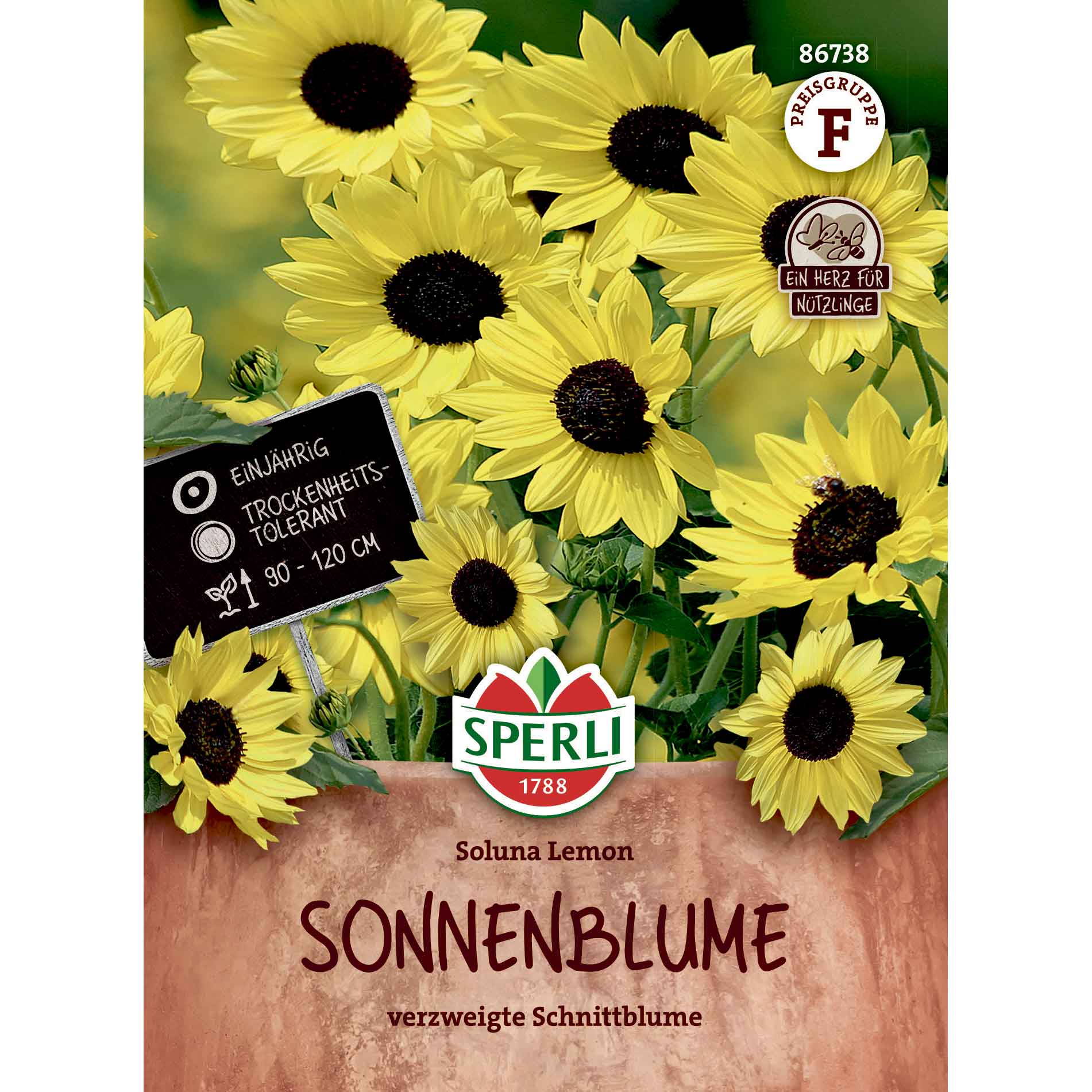 Sunflower - Soluna Lemon