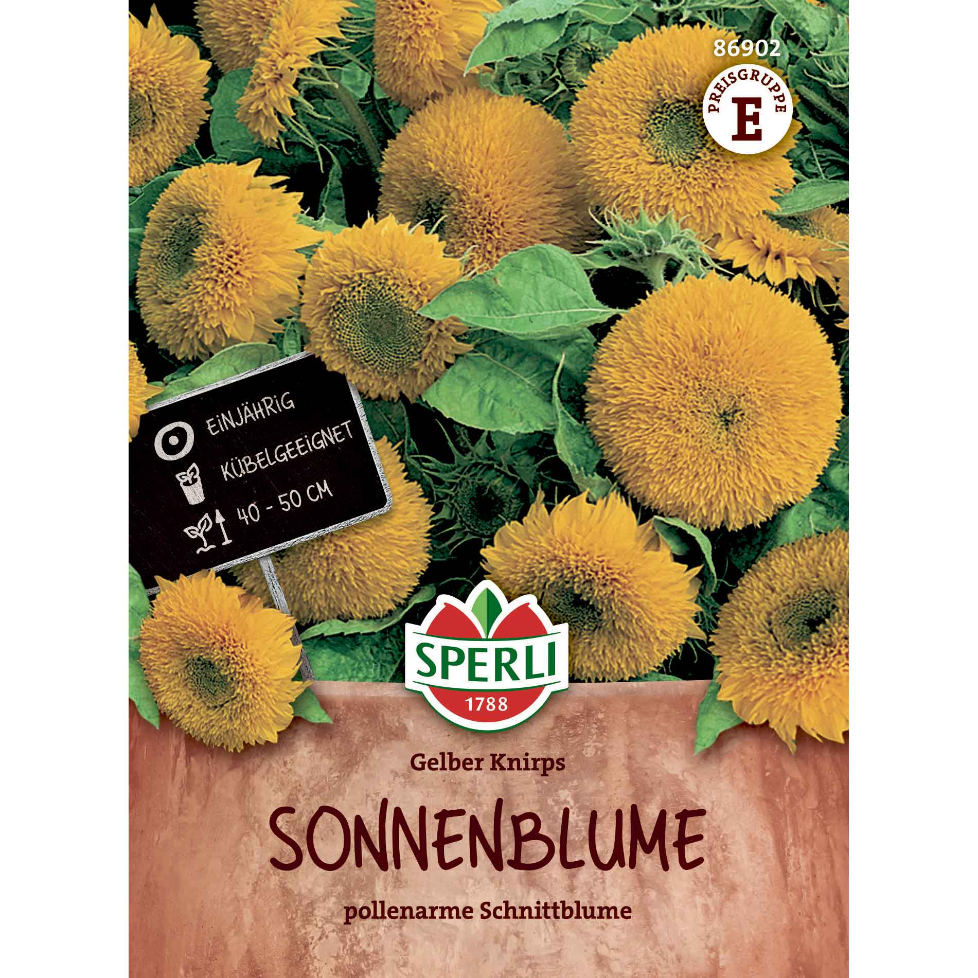 Sunflower - Gelber Knirps, F1