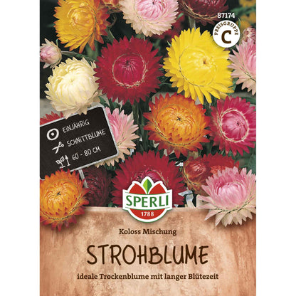 Strohblume Koloss Mischung