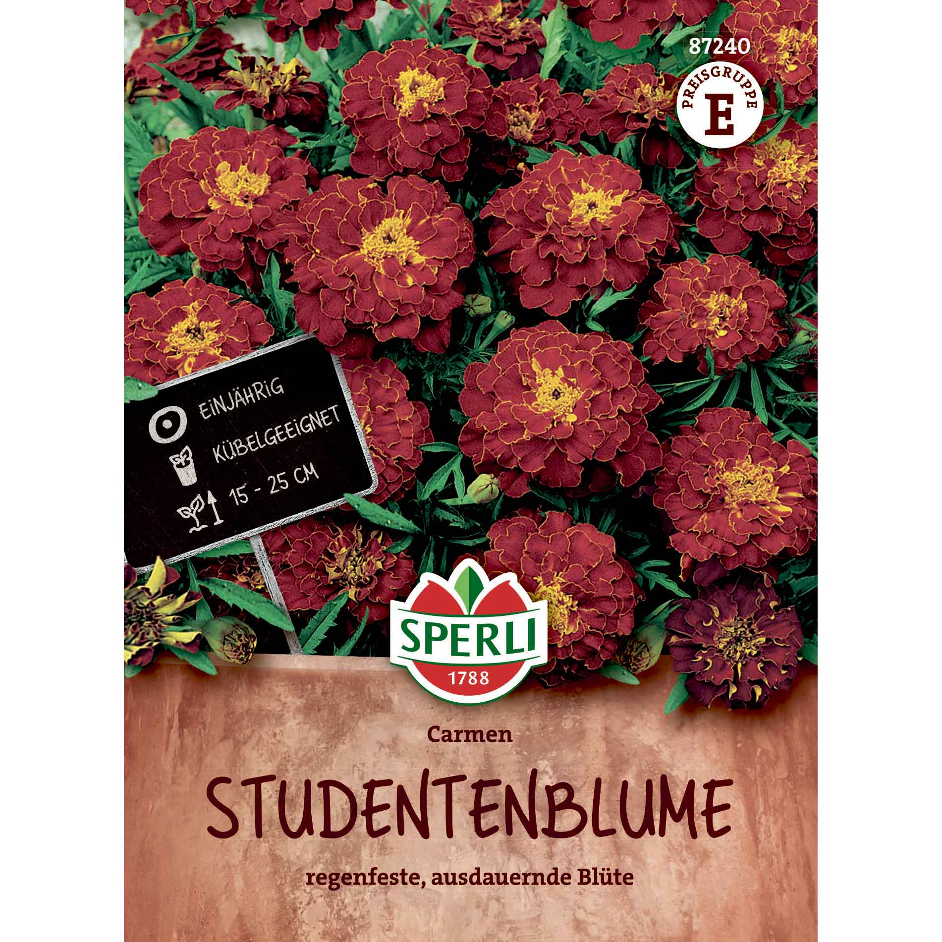 Tagetes - Carmen