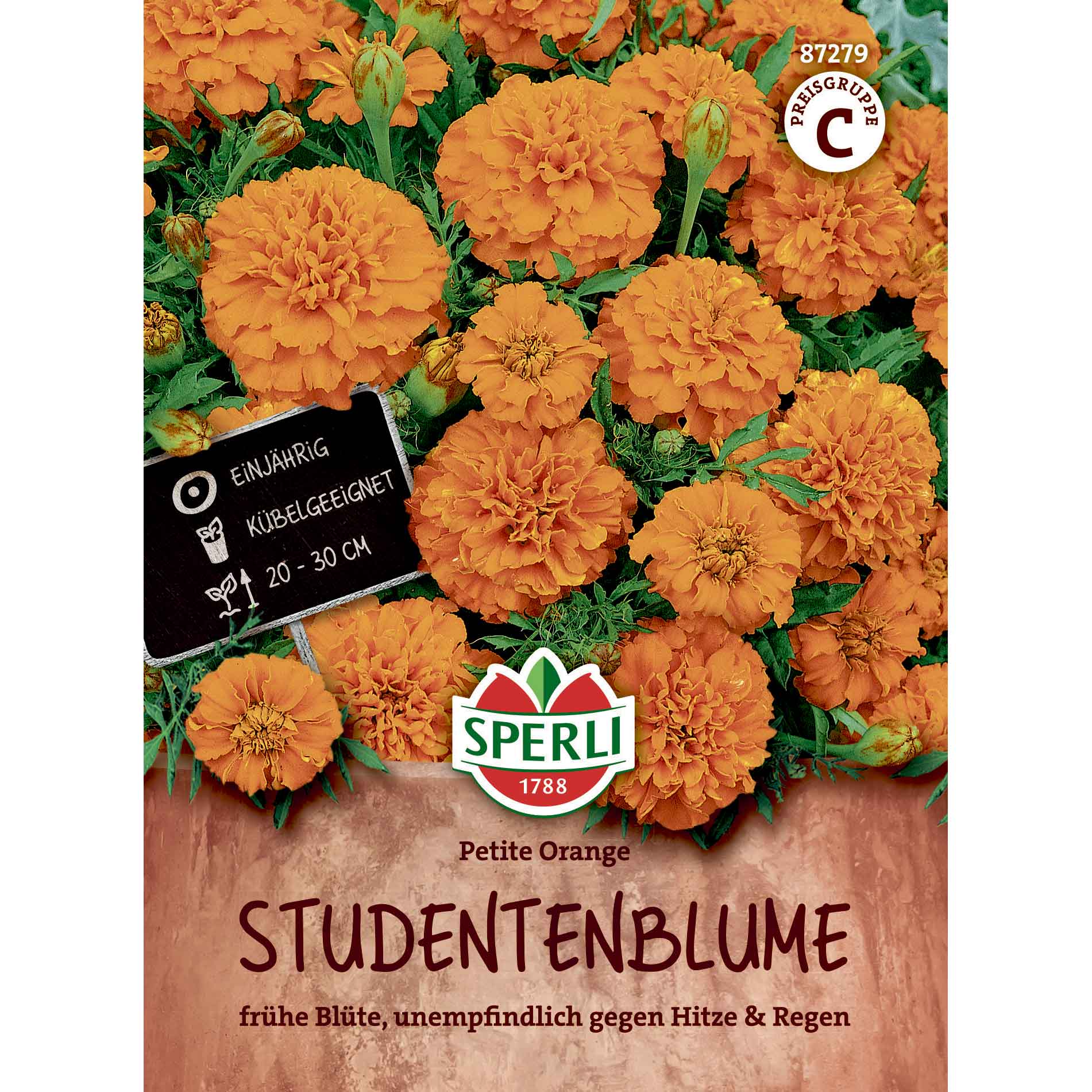 Tagetes - Petite Orange