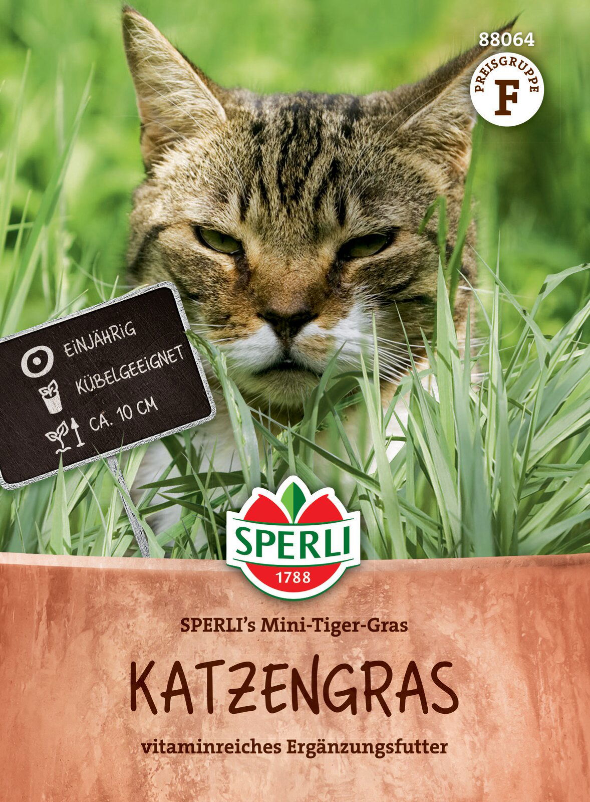 Katzengras SPERLI's Mini-Tiger-Grass