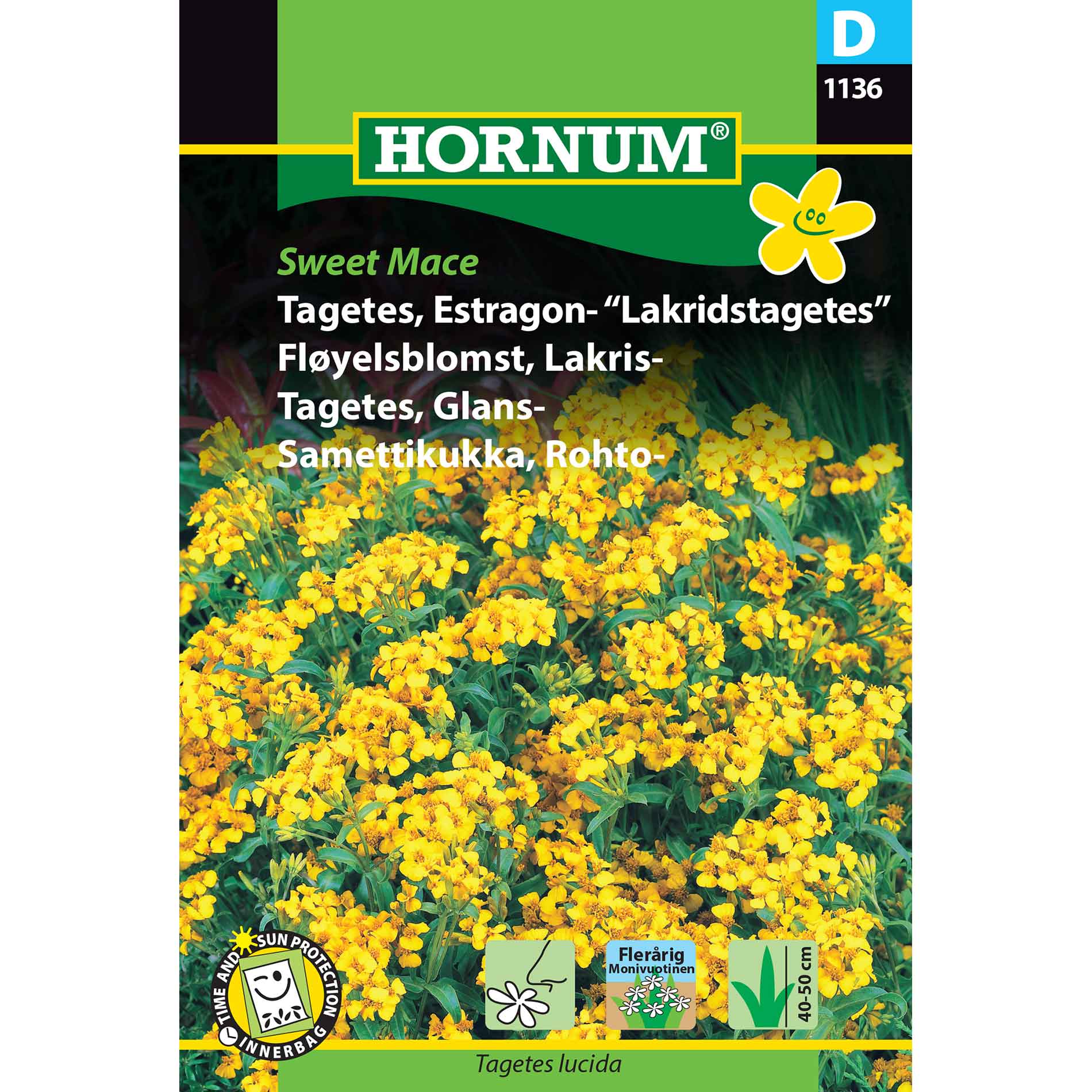 Tagetes frø - Estragon - Lakridstagetes