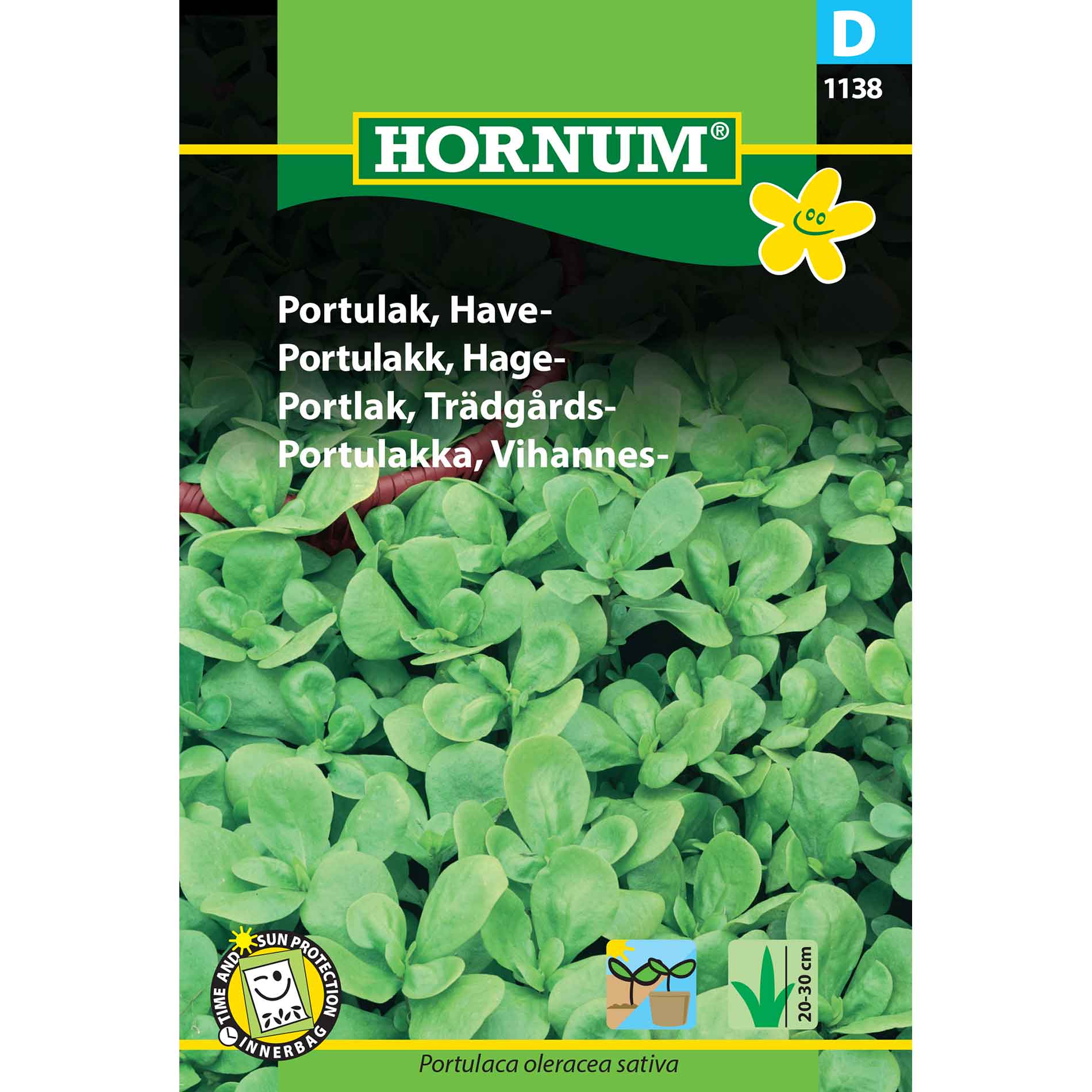 Purslane, Garden (D)