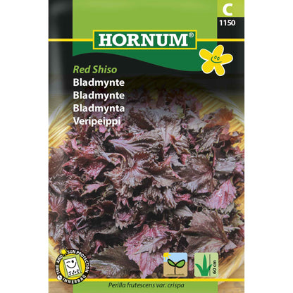 Bladmynte Red Shiso