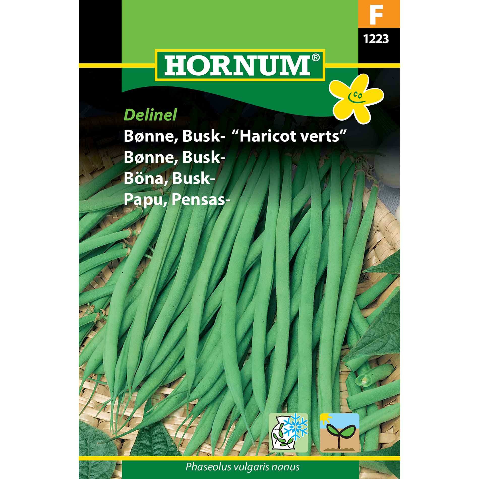 Buskbønne - Delinel/Harricot Verts