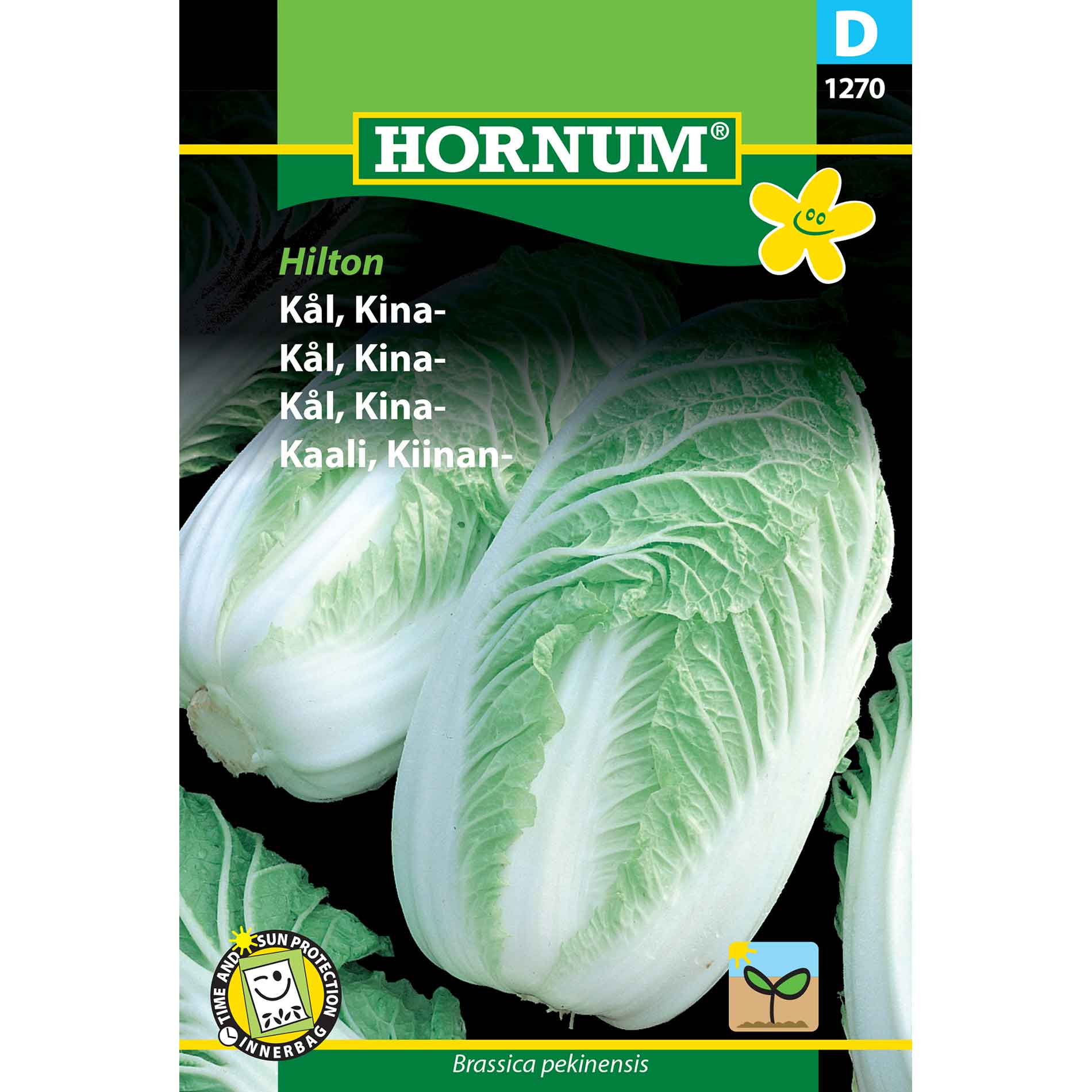 Chinese cabbage seeds - Hilton F1