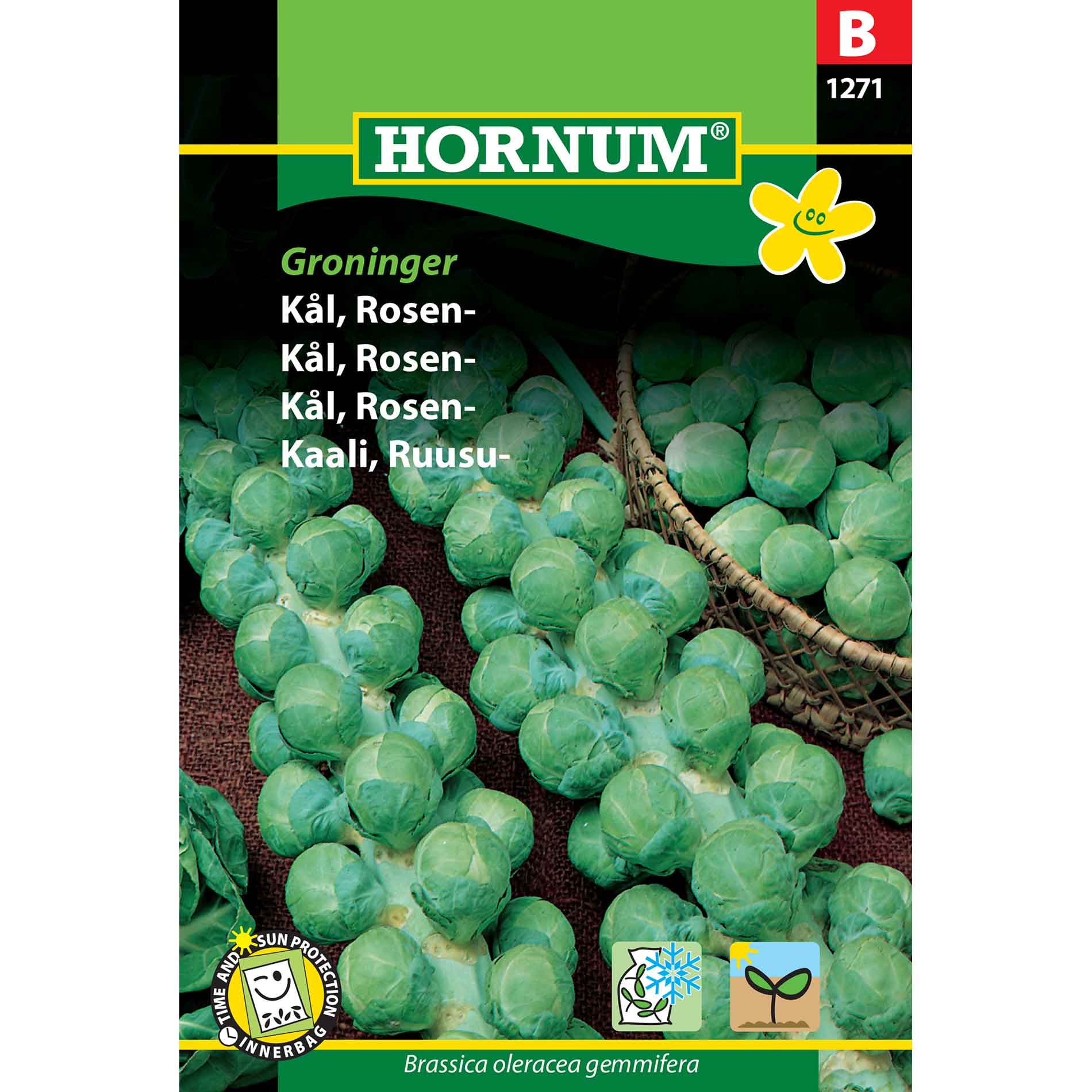 Brussels sprout seeds - Groninger