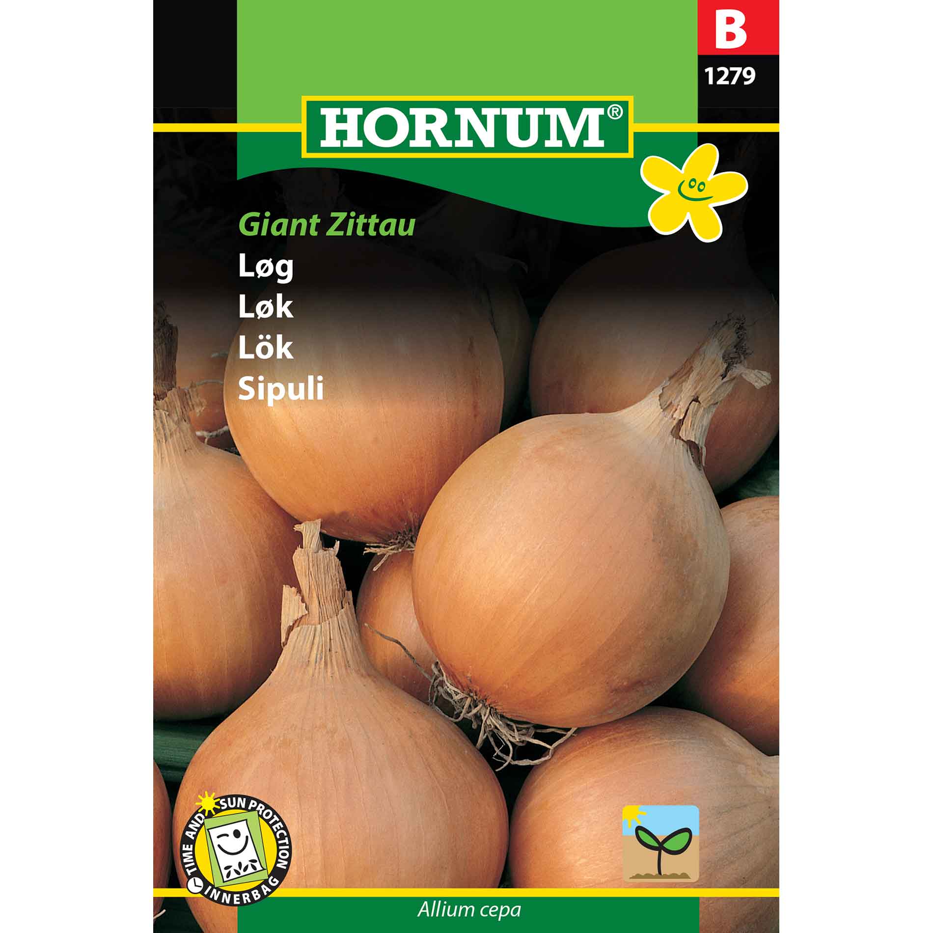 Onion seeds - Zittauer yellow