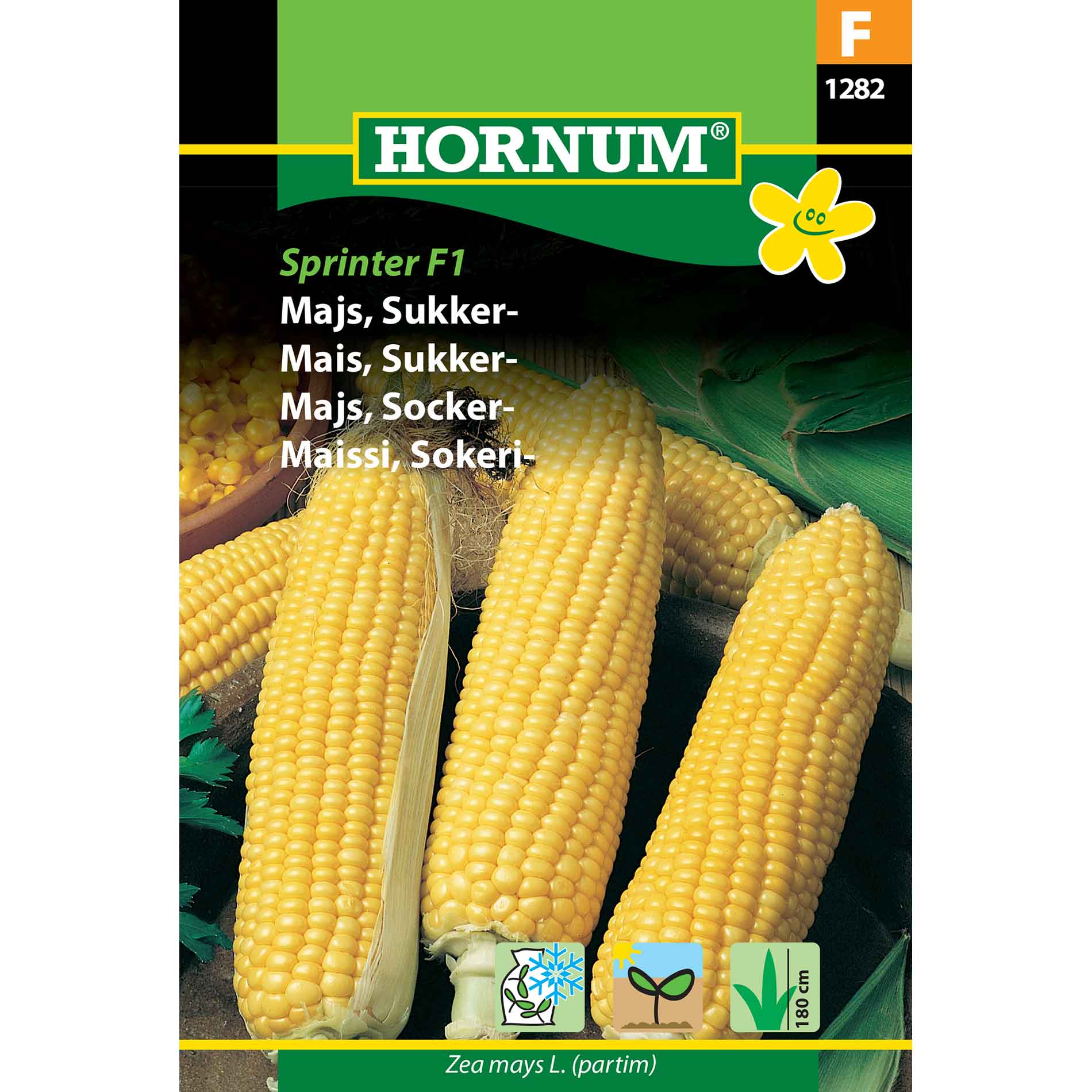 Corn seeds - Sweet corn - Sprinter F1