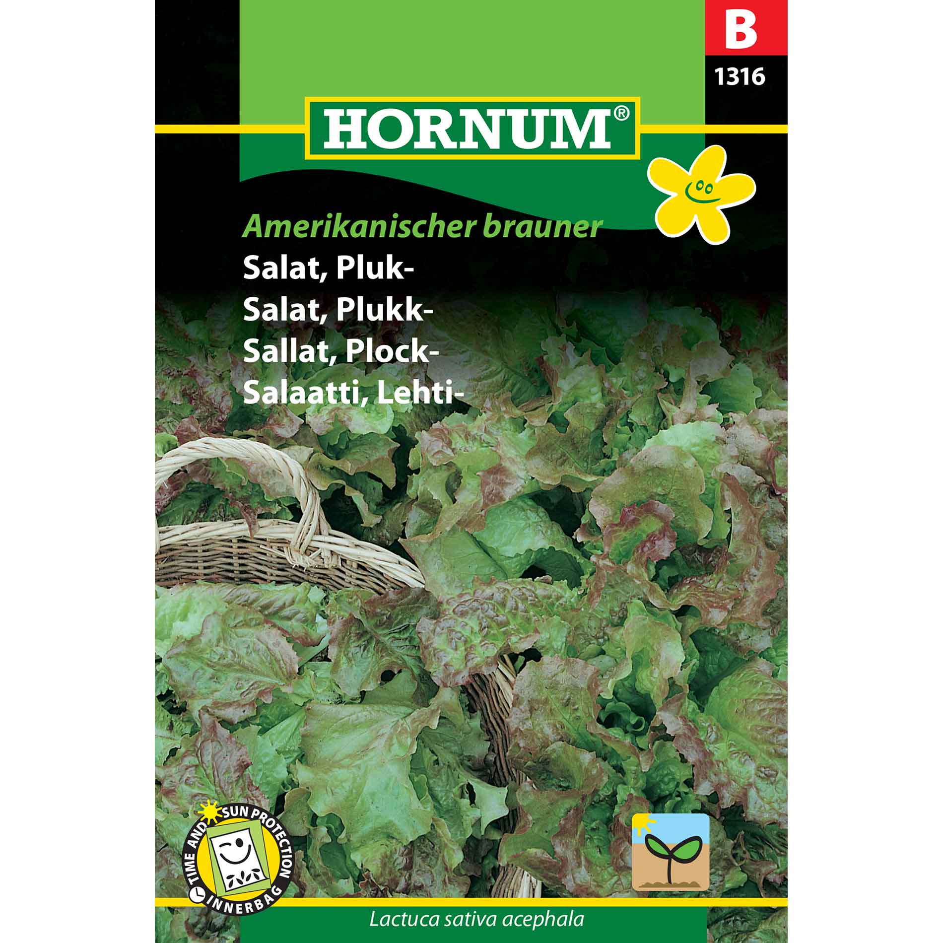 Lettuce seeds - Pick - Amerikanischer brauner