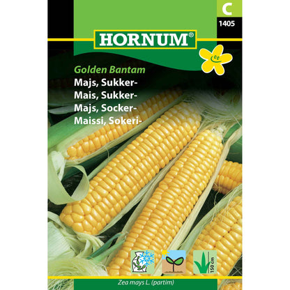 Corn seeds - Sweet corn - Golden Bantam