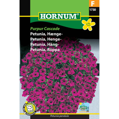 Hængepetunia - Purpur Cascade