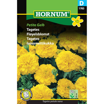 Tagetes frø - Petite Gelb