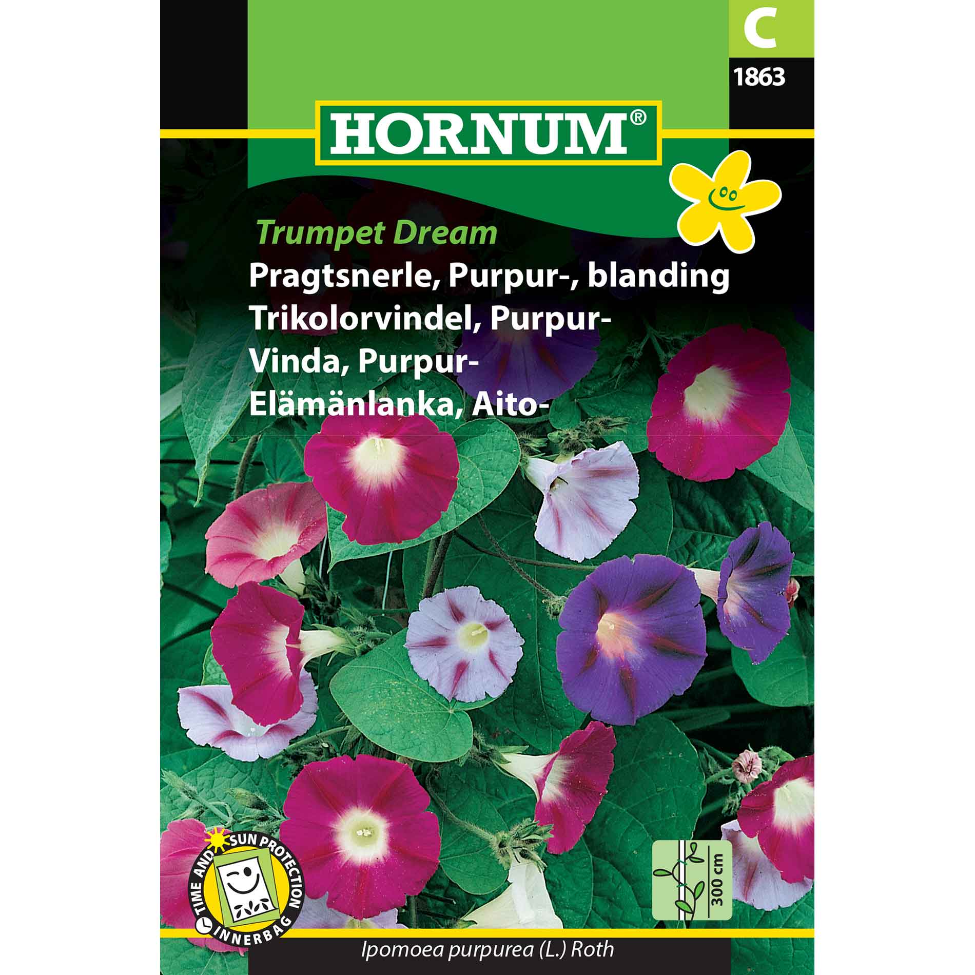 Pragtsnerle seeds - Purple mix Trumpet D.