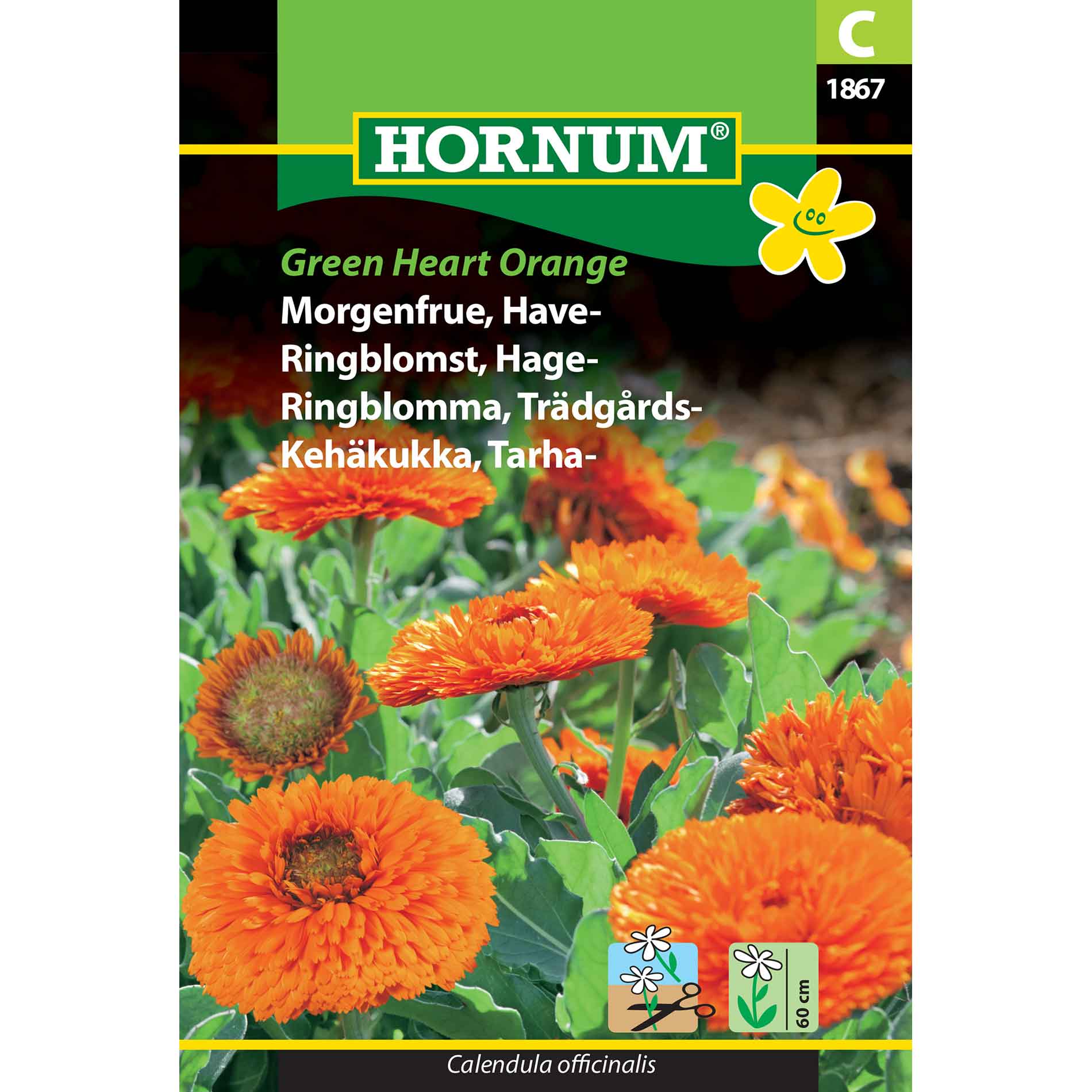 Marigold seeds - Garden - Green Heart Orange