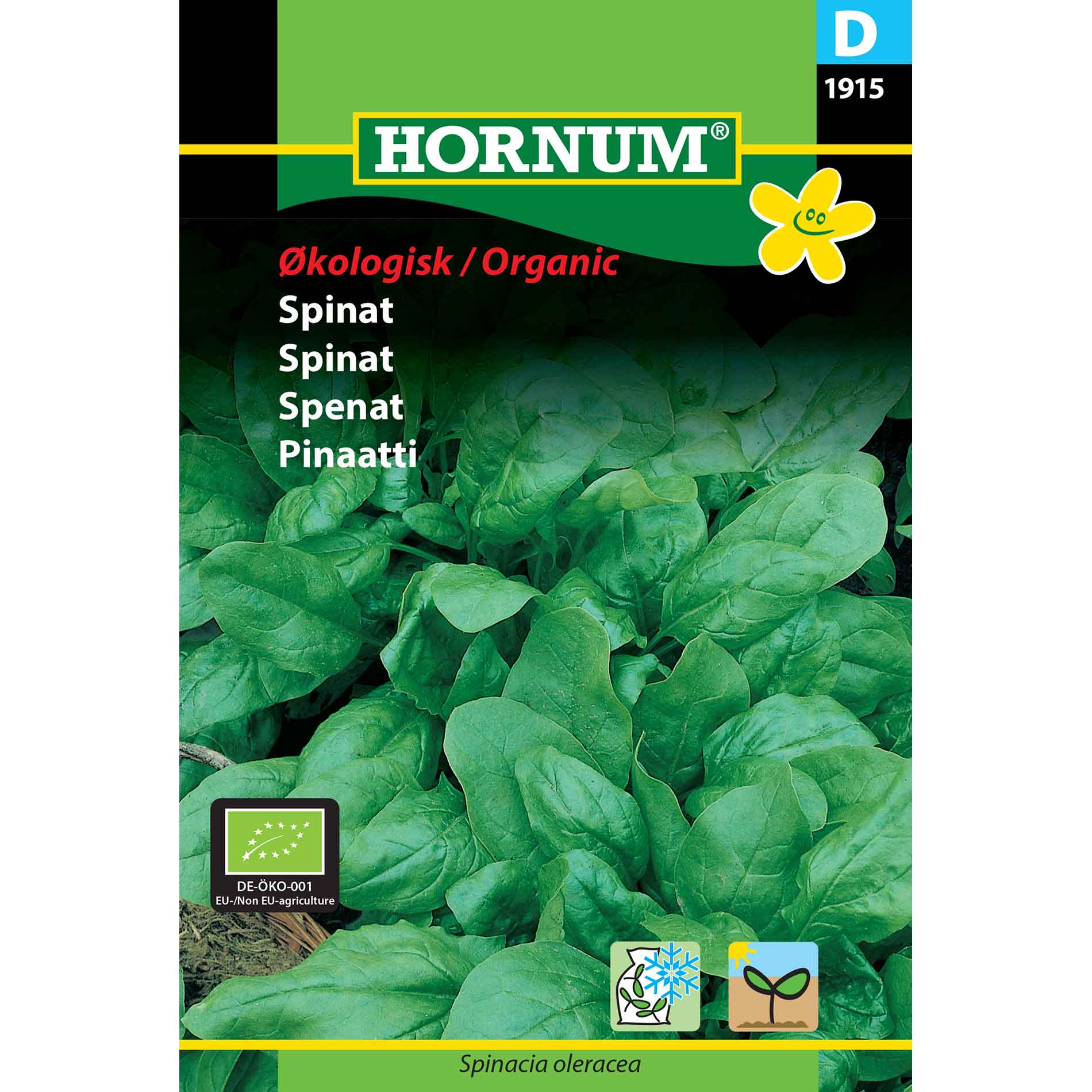 Spinach seeds - Palco F1 - Organic