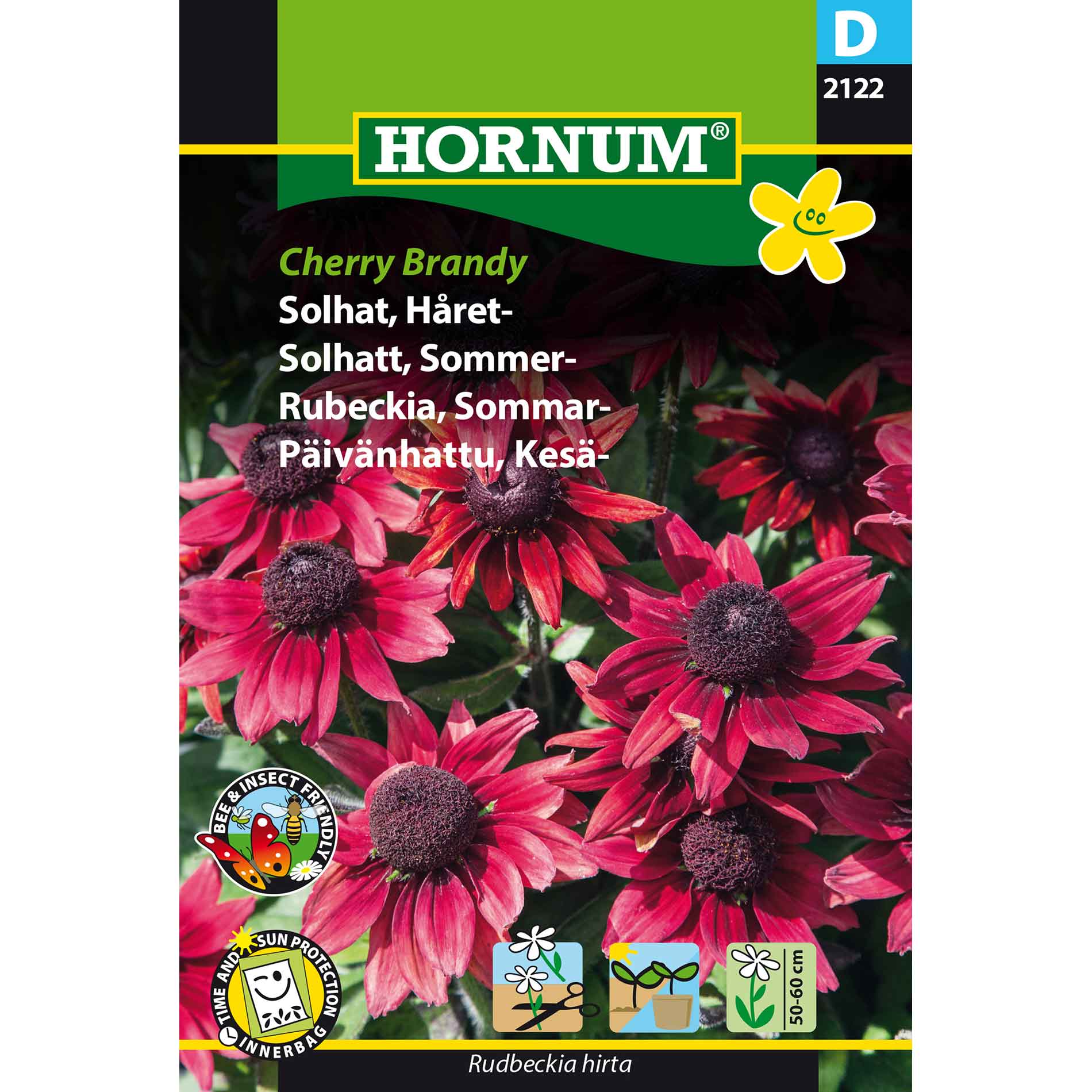 Coneflower, hårig, Cherry Brandy (D)