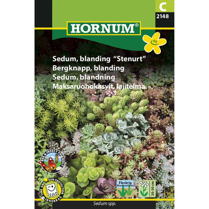 Sedum, blanding Stenurt