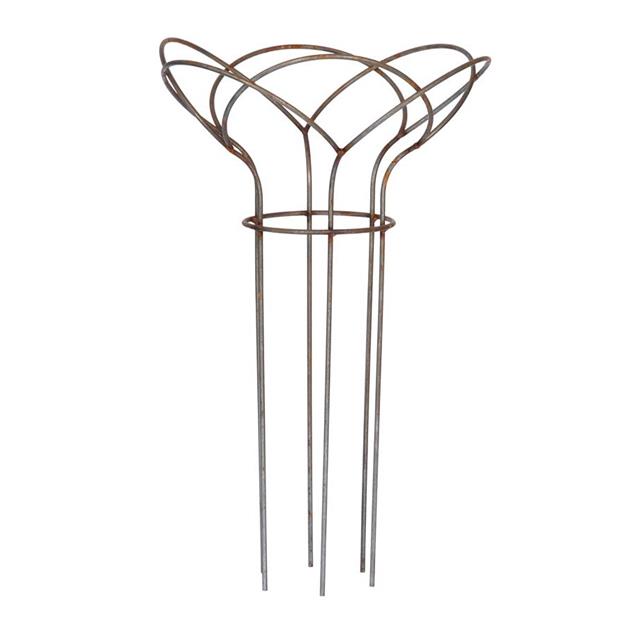 Perennial holder 60CM -6MM- Rust