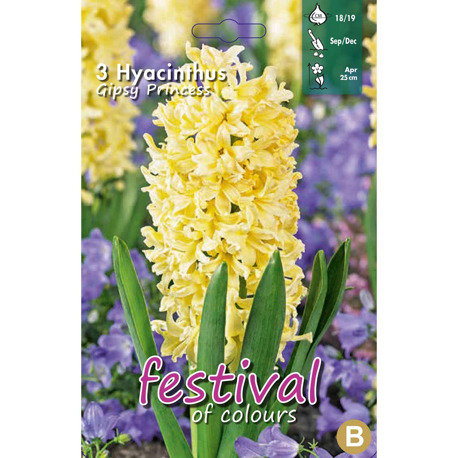 Hyacint - Hyacinthus Gipsy Princess 18/19