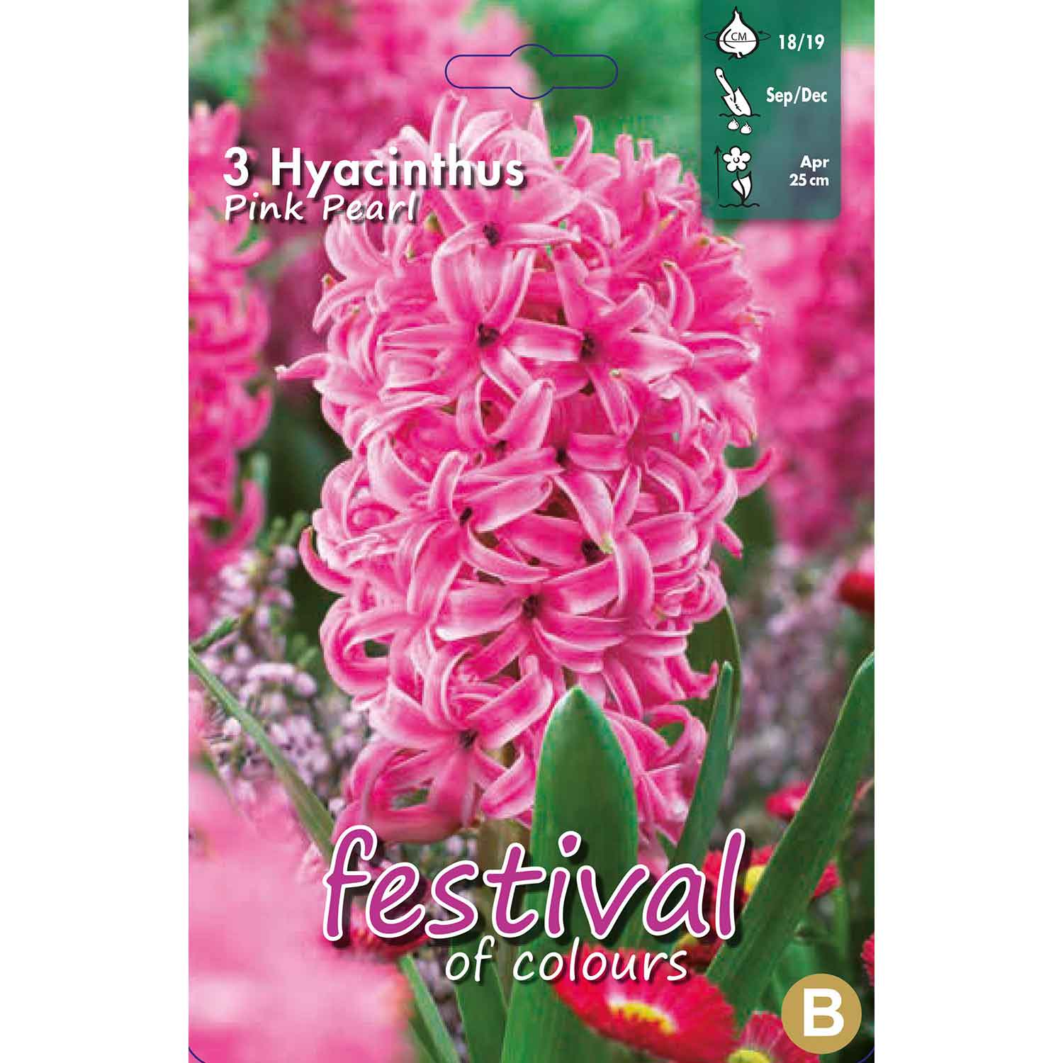 Hyacint - Hyacinthus Pink Pearl 18/19