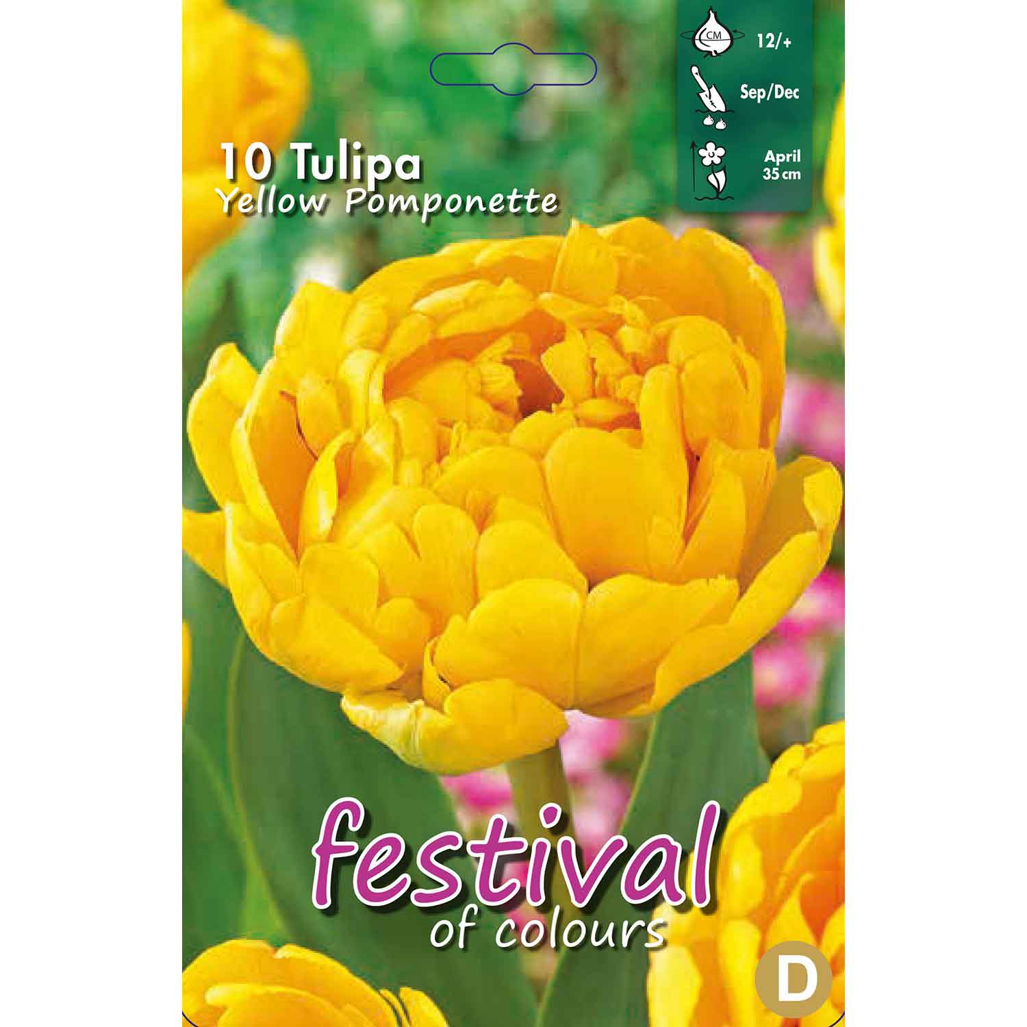 Tulips Yellow Pomponette 12/+