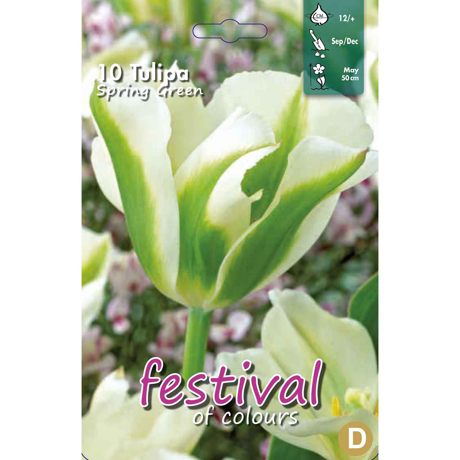 Tulips Spring Green 12/+ (x12x10) *622048*