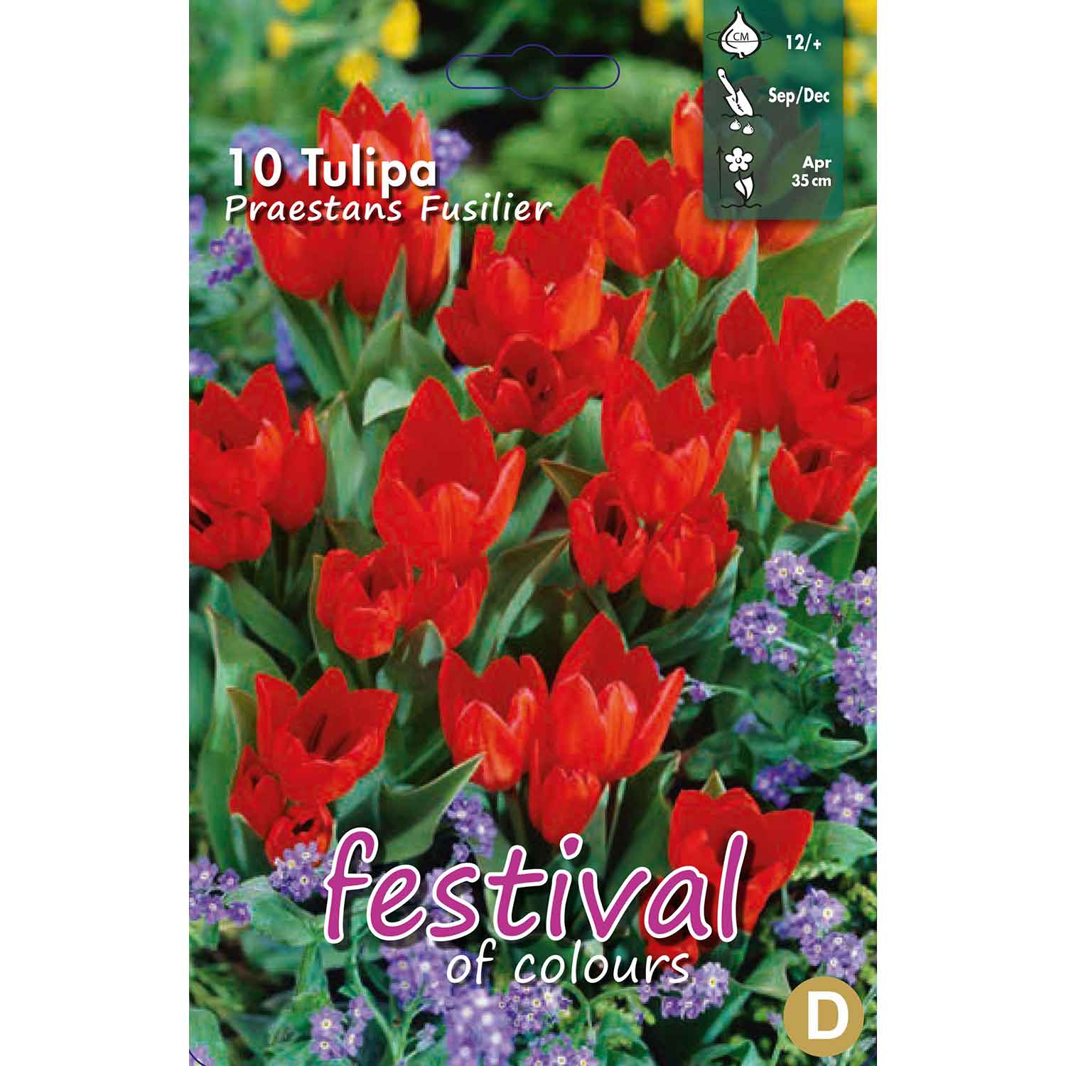 Tulips Praestans Fusilier 12/+ (x12x10) *623137*