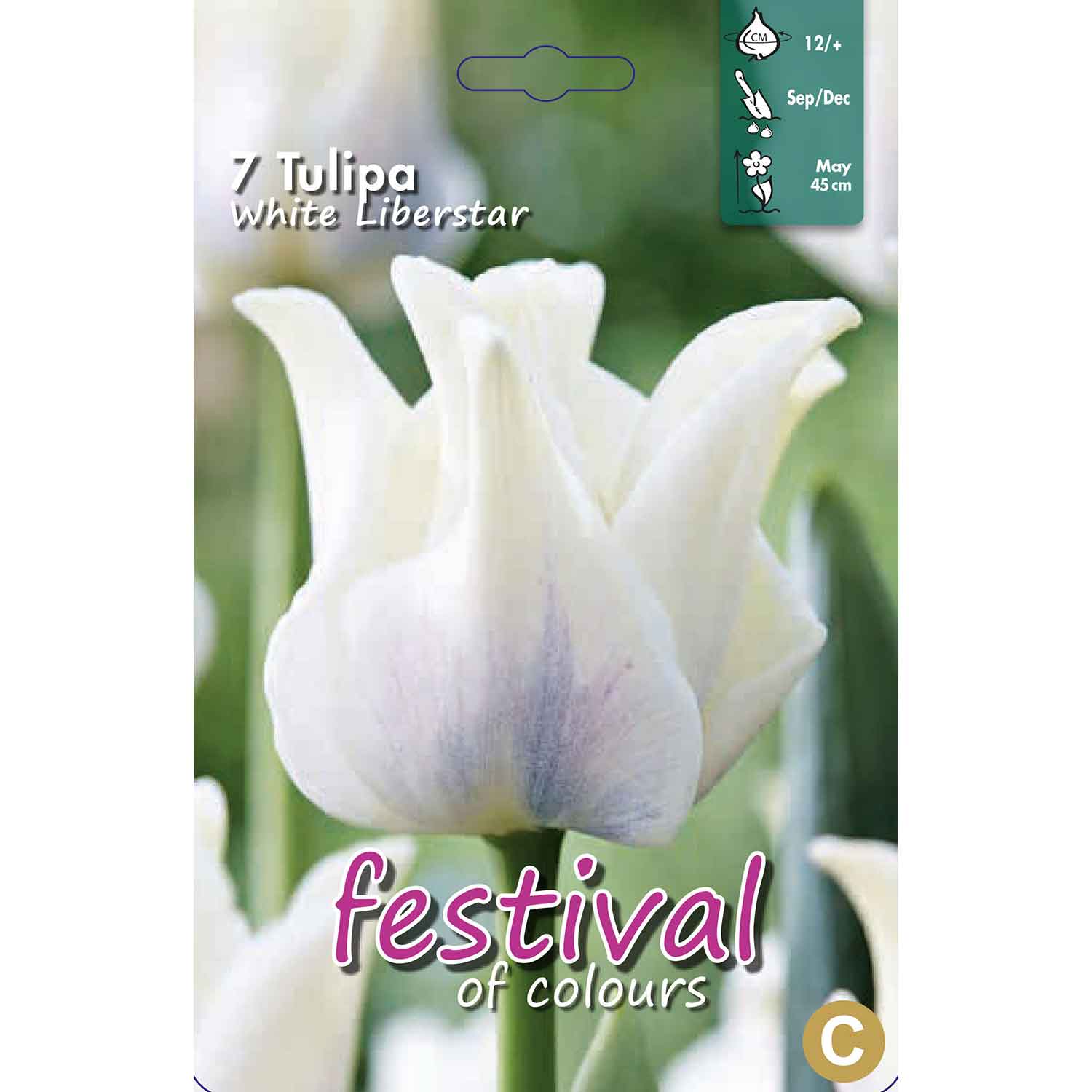 Tulips White Liberstar 12/+ (x12x7) *623359*