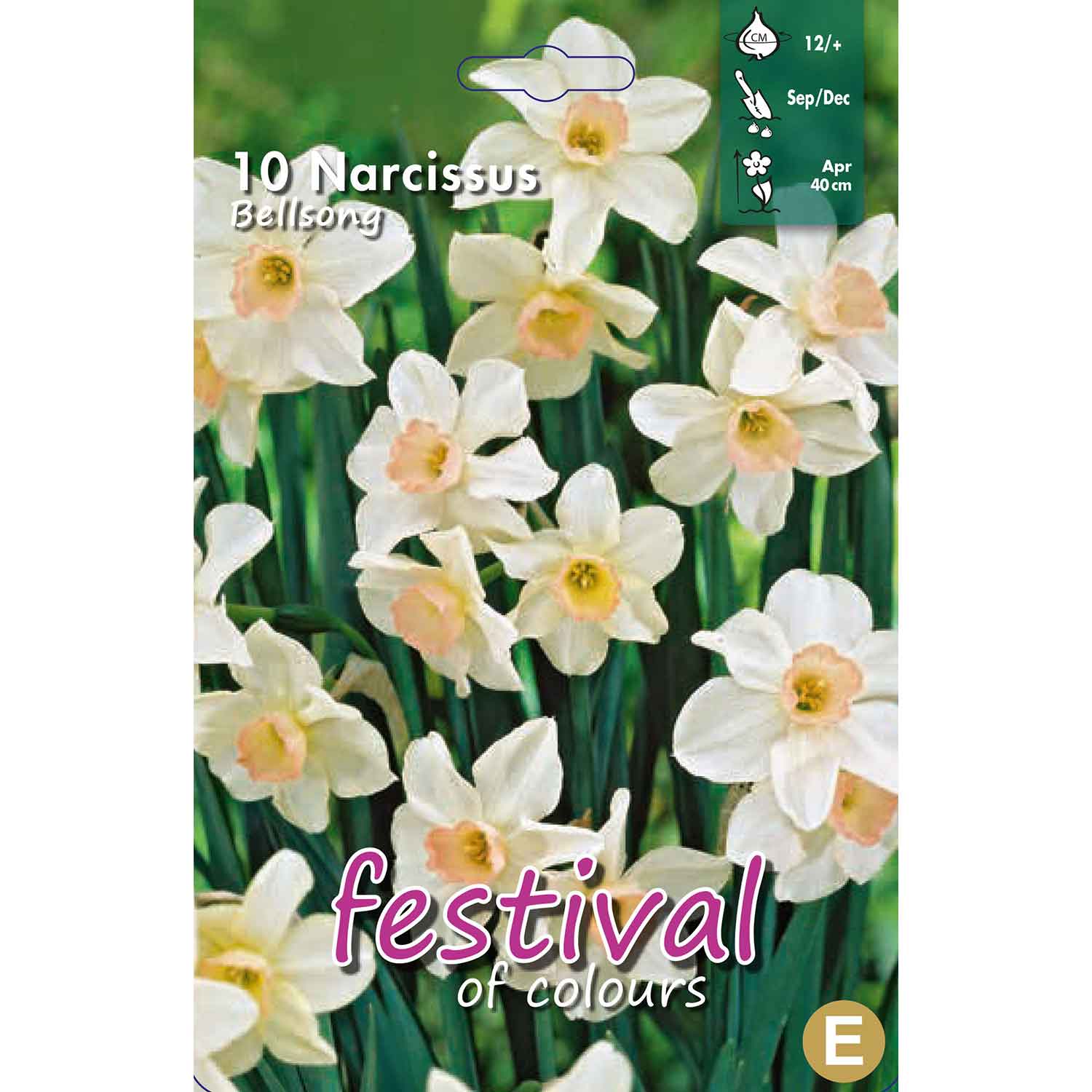 Daffodil - Narcissus Bell Song 12/+