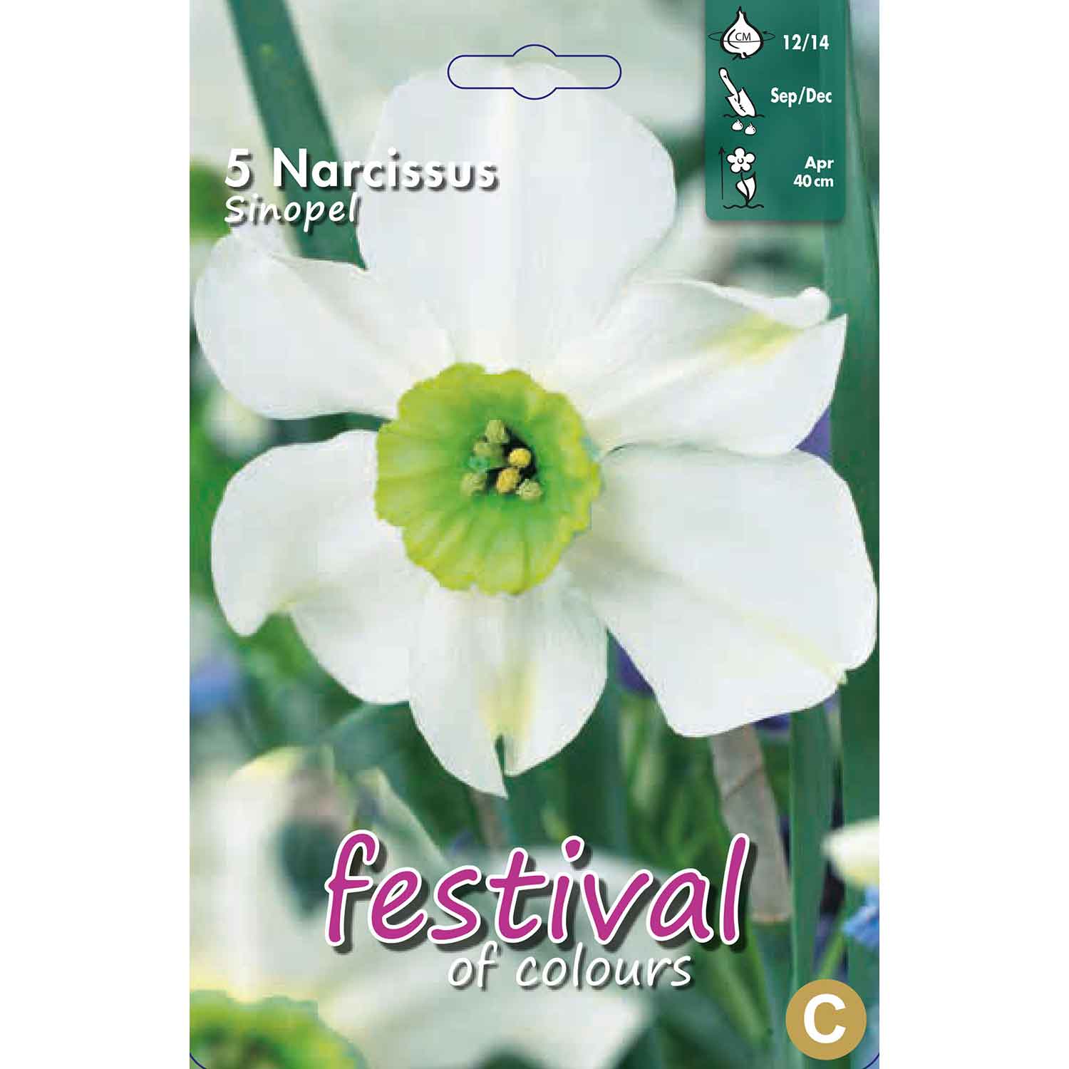 Narcissus Sinopel 12/14 (x12x5) *624387*