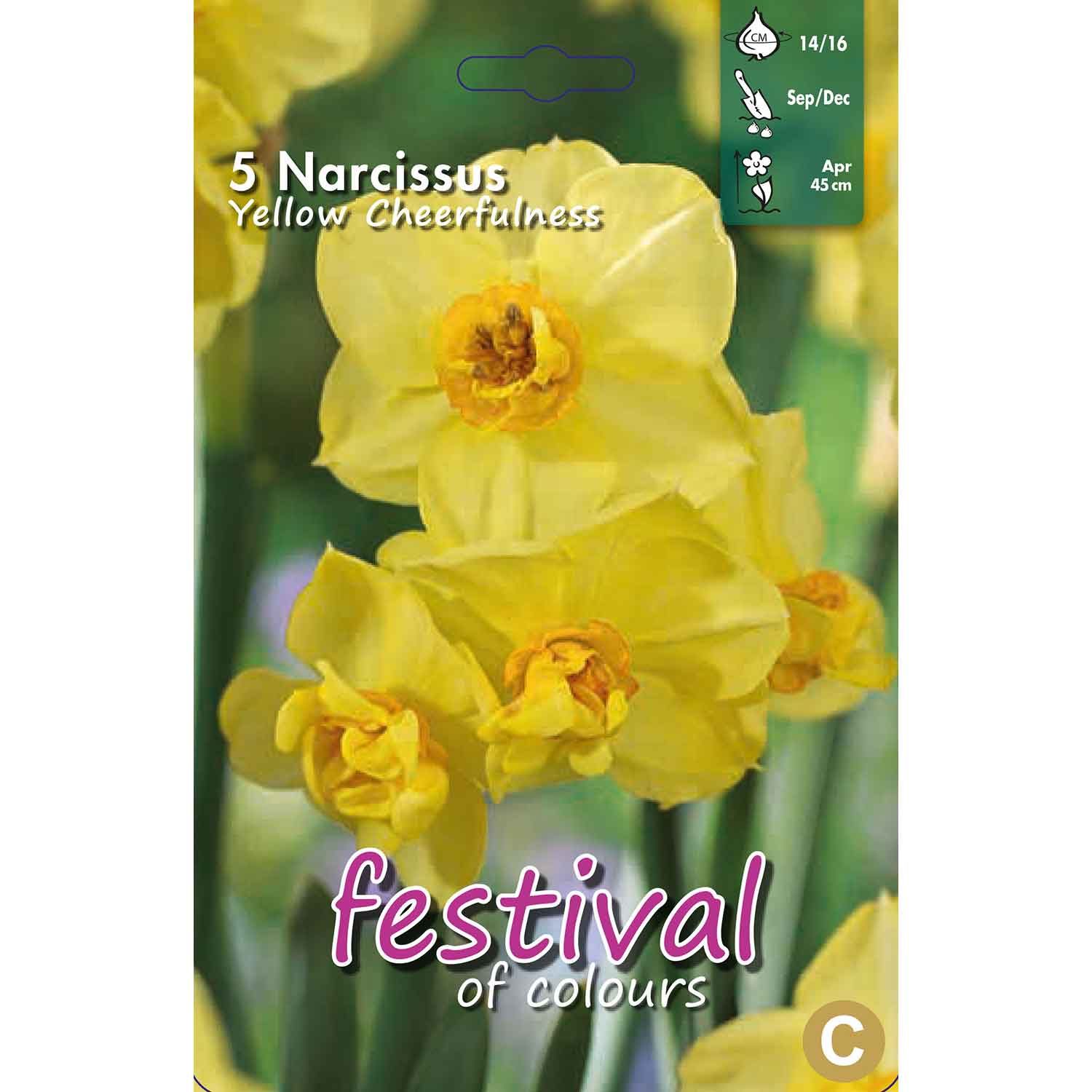 Narcisses Yellow Cheerfulness 14/16