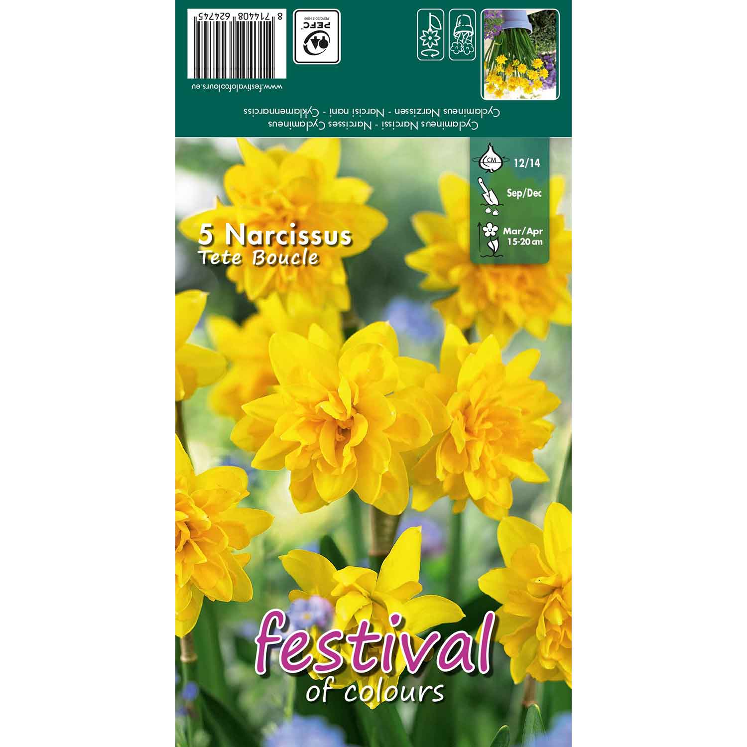 Narcisses Tete Boucle 12/14