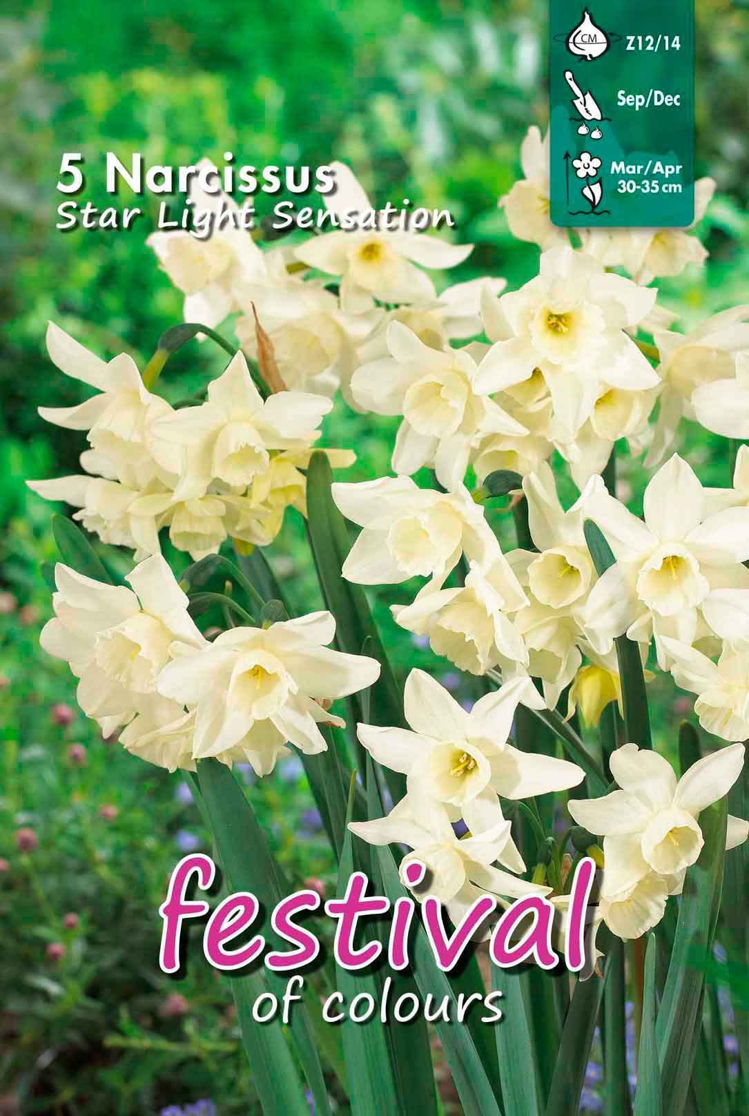 Narcissus Star Light Sensation Z12/14