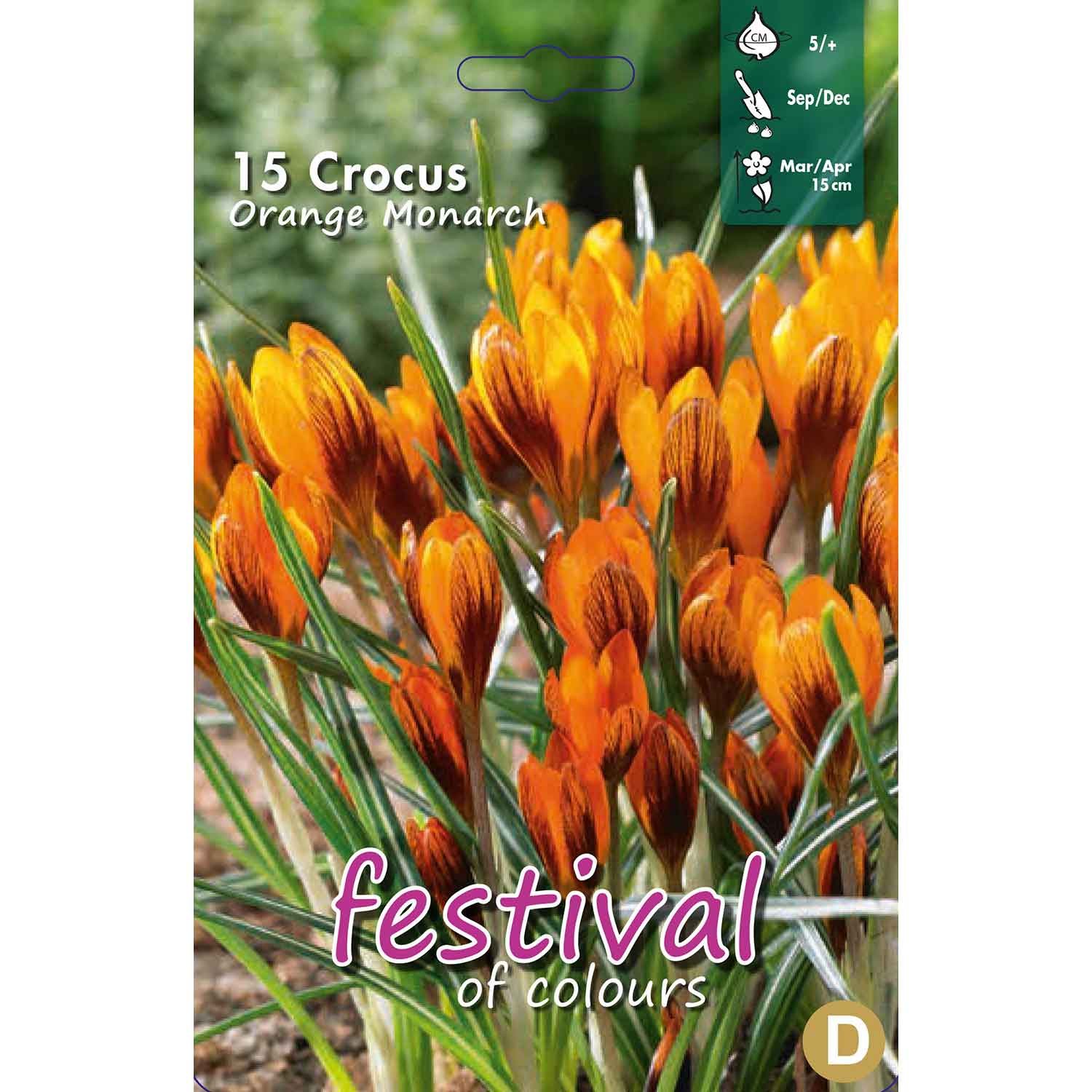 Crocus Orange Monarch 5/+ (x12x15) *625018*