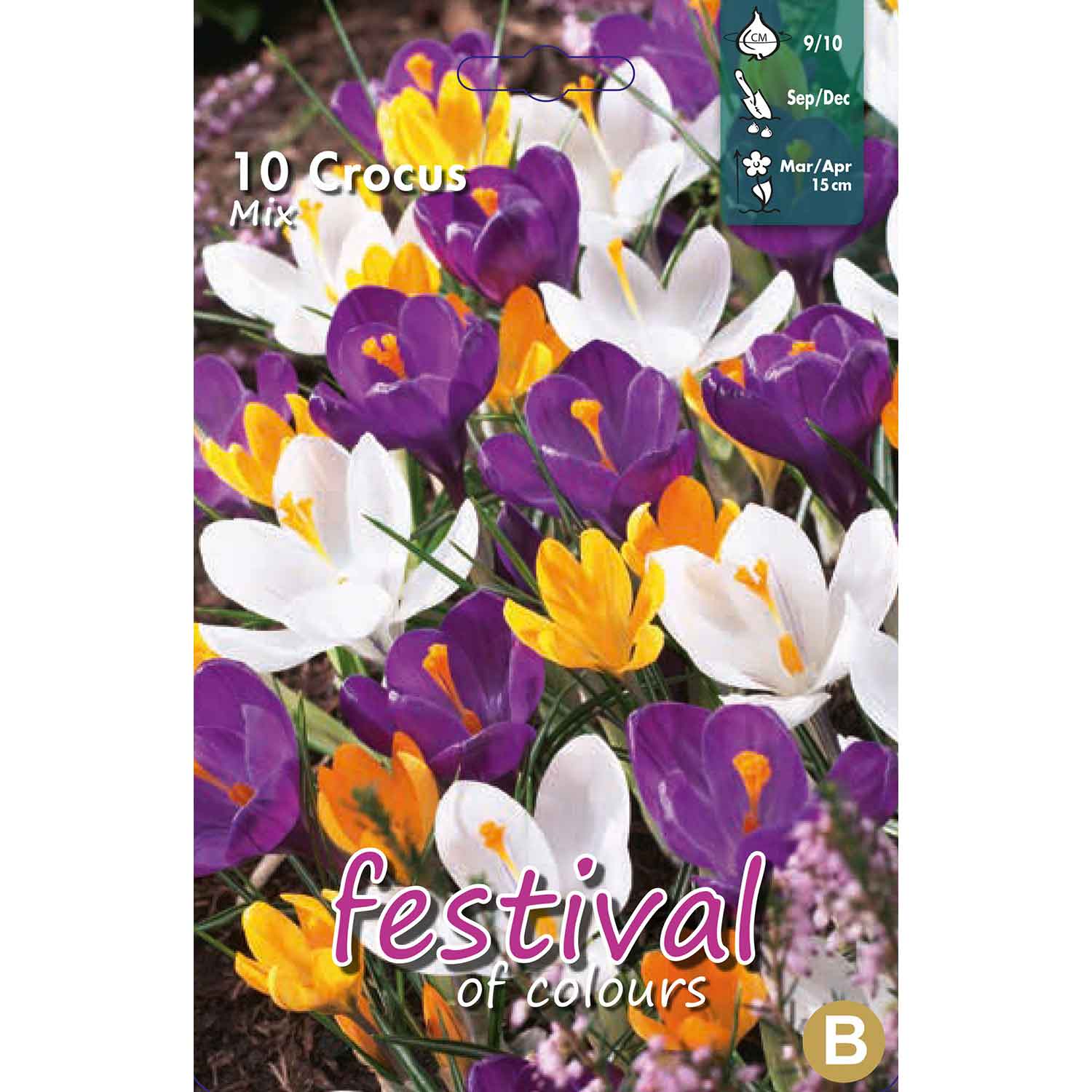 Crocus - Crocus Vernus Mixed 9/10