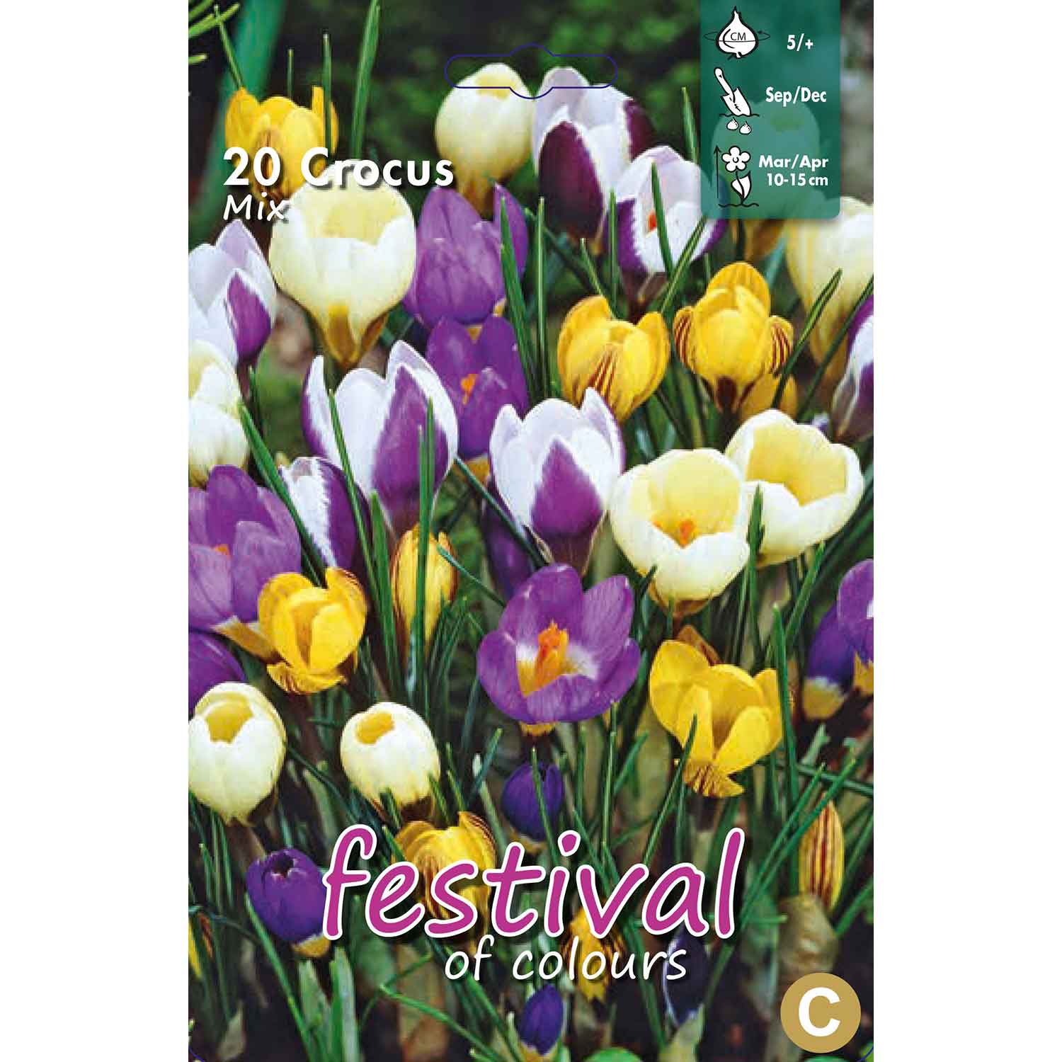 Crocus Botanical Mixed 5/+ (x12x15) *625452*